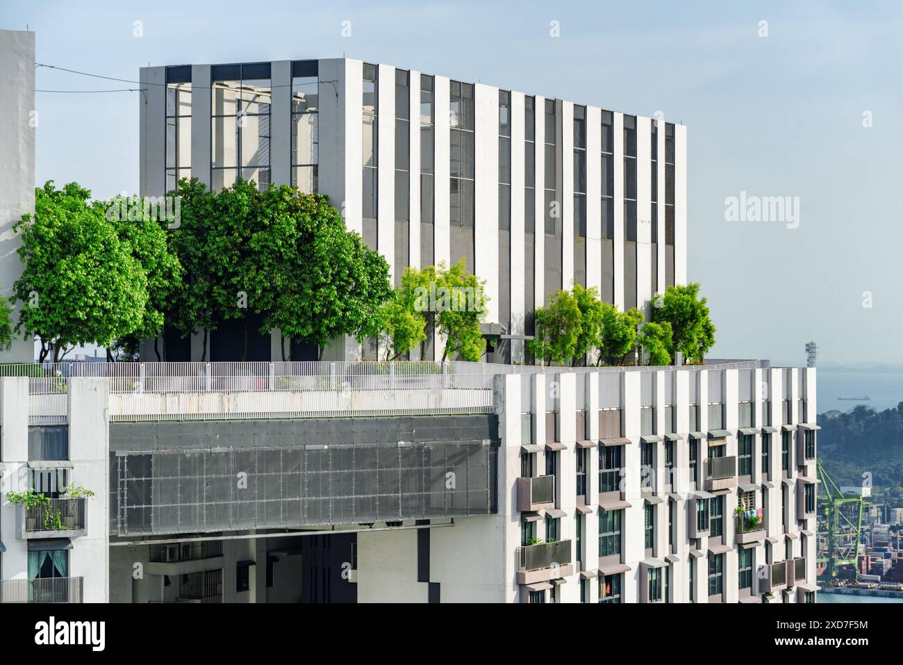 Magnifique jardin sur le toit. Terrasse extérieure pittoresque avec parc et belle vue sur la ville. Éco-conception urbaine et mini-écosystème. Banque D'Images