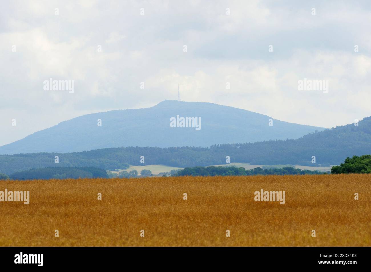 Sleza montagne 718 m au dessus du niveau de la mer, paysage, Dolnoslaskie, Polska, paysage, montagne, pologne, silésie, sleza, voyage, photo Kazimierz Jurewicz Banque D'Images