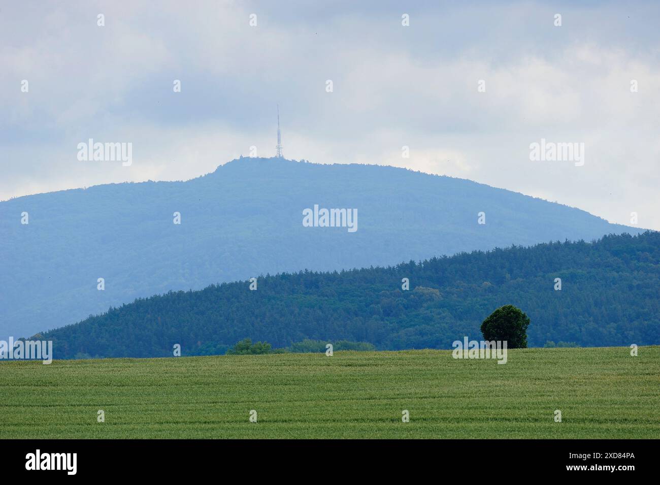 Sleza montagne 718 m au dessus du niveau de la mer, paysage, Dolnoslaskie, Polska, paysage, montagne, pologne, silésie, sleza, voyage, photo Kazimierz Jurewicz Banque D'Images