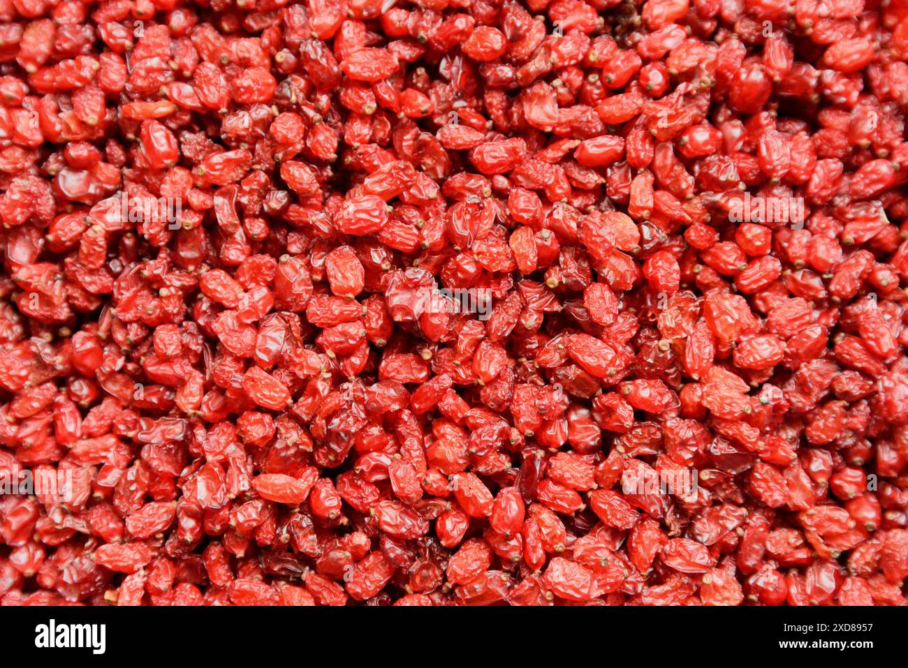 Épine-vinette séchée iranienne (berberis). Baies sucrées et aigres rouge vif persan. Banque D'Images