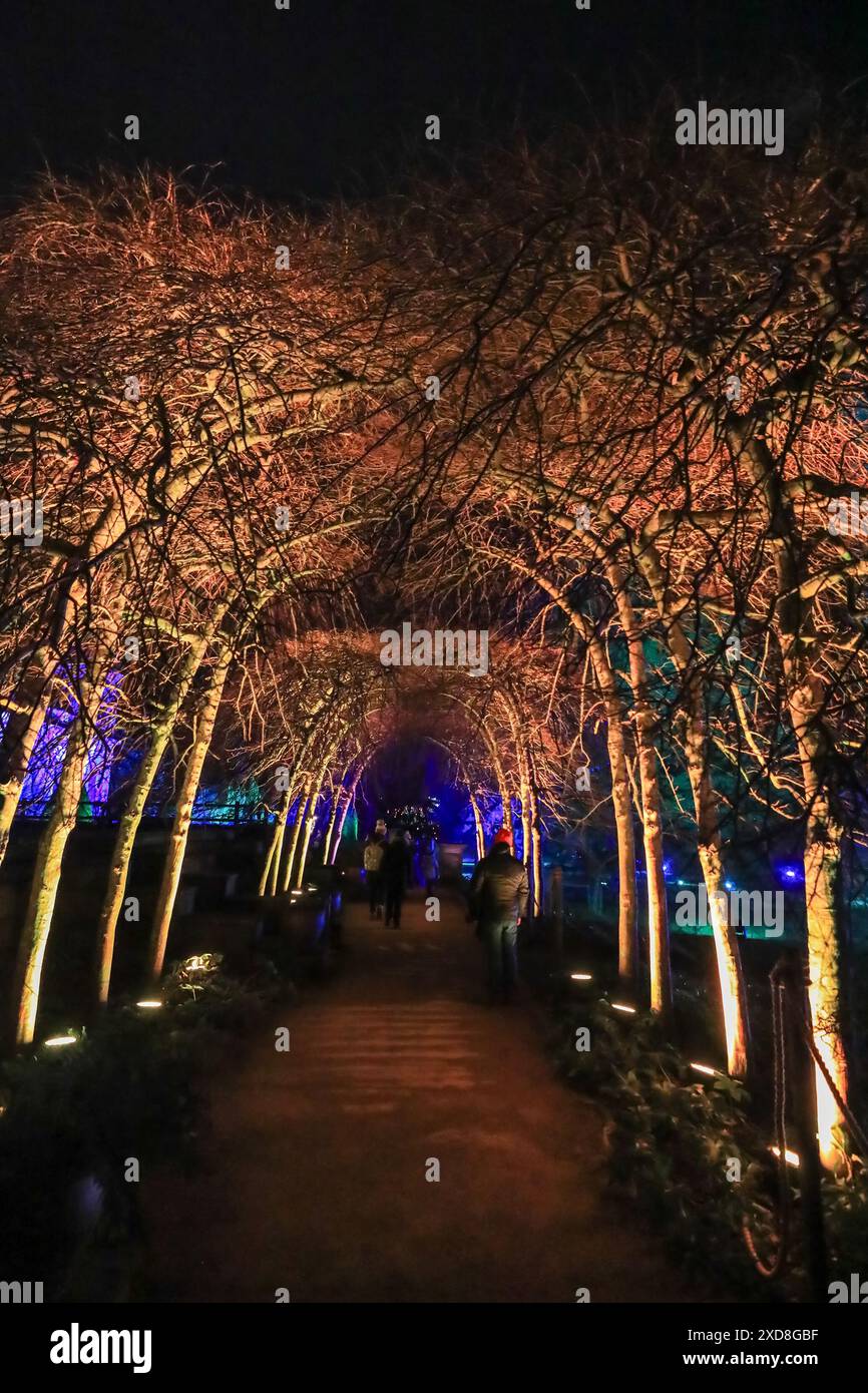 Les lumières brillantes de l'événement de la piste lumineuse de Noël, Noël à Trentham Gardens, Stoke-on-Trent, Staffordshire, Angleterre, Royaume-Uni Banque D'Images