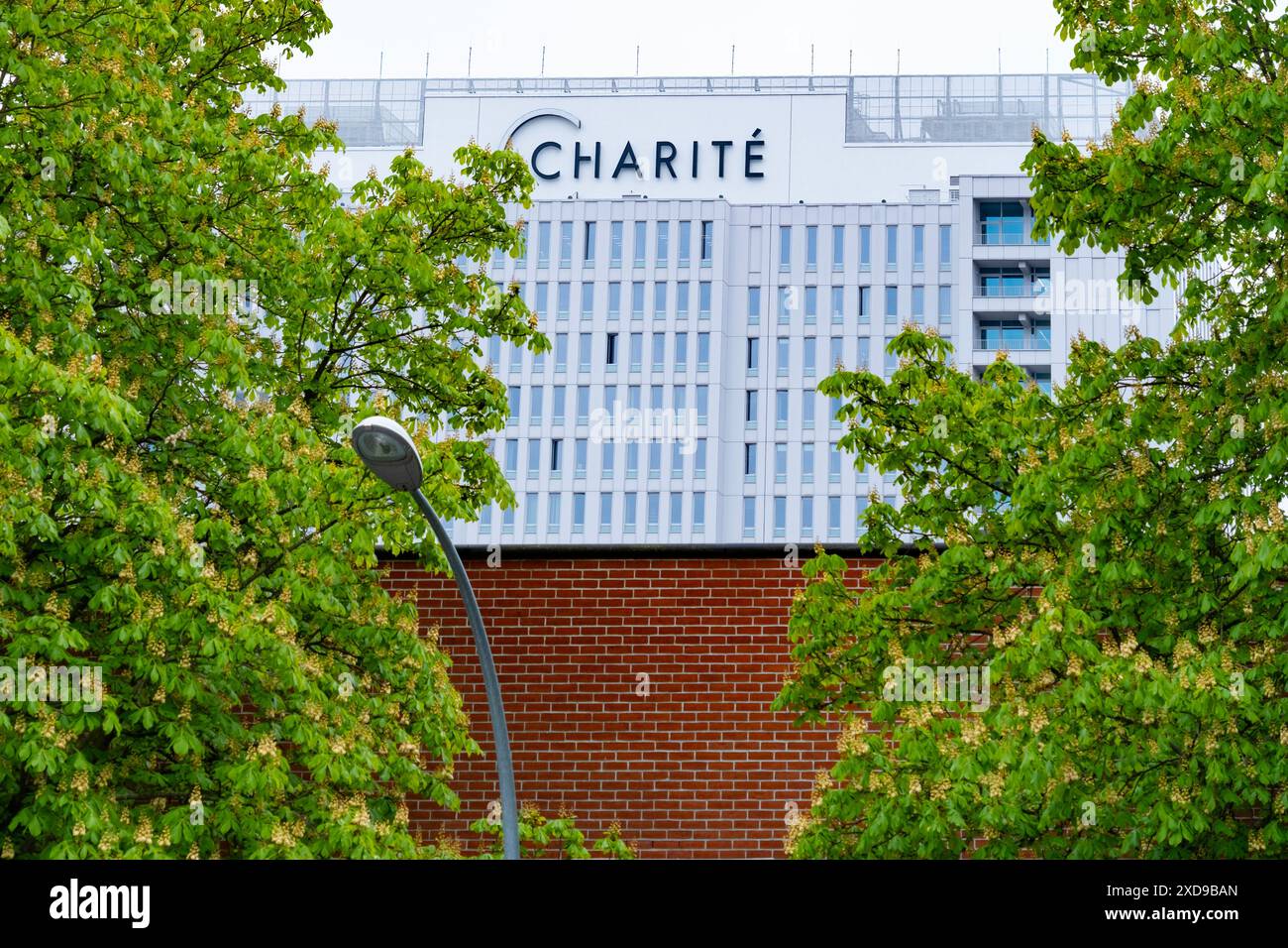 Hôpital multidisciplinaire Charite, complexe médical universitaire allemand, transplantation d'organes, traitement des maladies oncologiques, réadaptation, Berlin, Banque D'Images