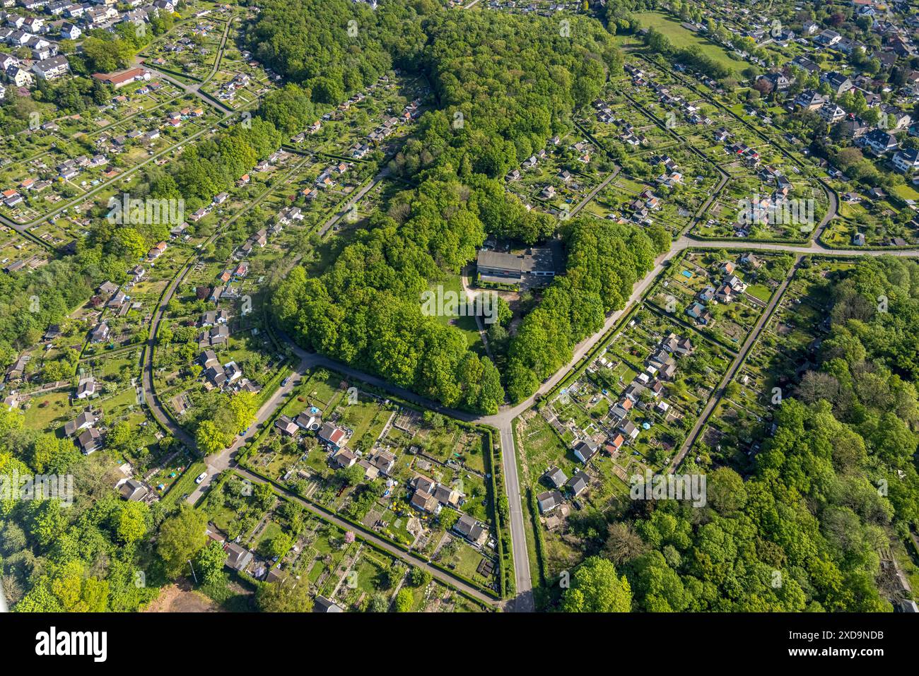 Vue aérienne, KGV allotissement Garden association Ischeland im Waldstück, Altenhagen, Hagen, Ruhr area, Rhénanie du Nord-Westphalie, Allemagne, photo aérienne, KGV Banque D'Images