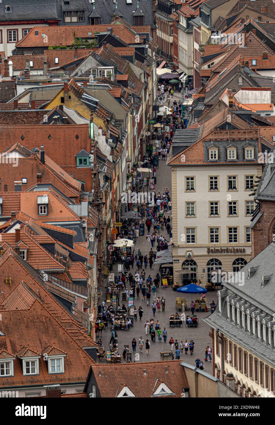 Fußgängerzone Hauptstraße in der Heidelberger Altstadt Heidelberg Baden-Württemberg Deutschland *** zone piétonne Hauptstraße dans la vieille ville de Heidelbergs Heidelberg Baden Württemberg Allemagne Banque D'Images
