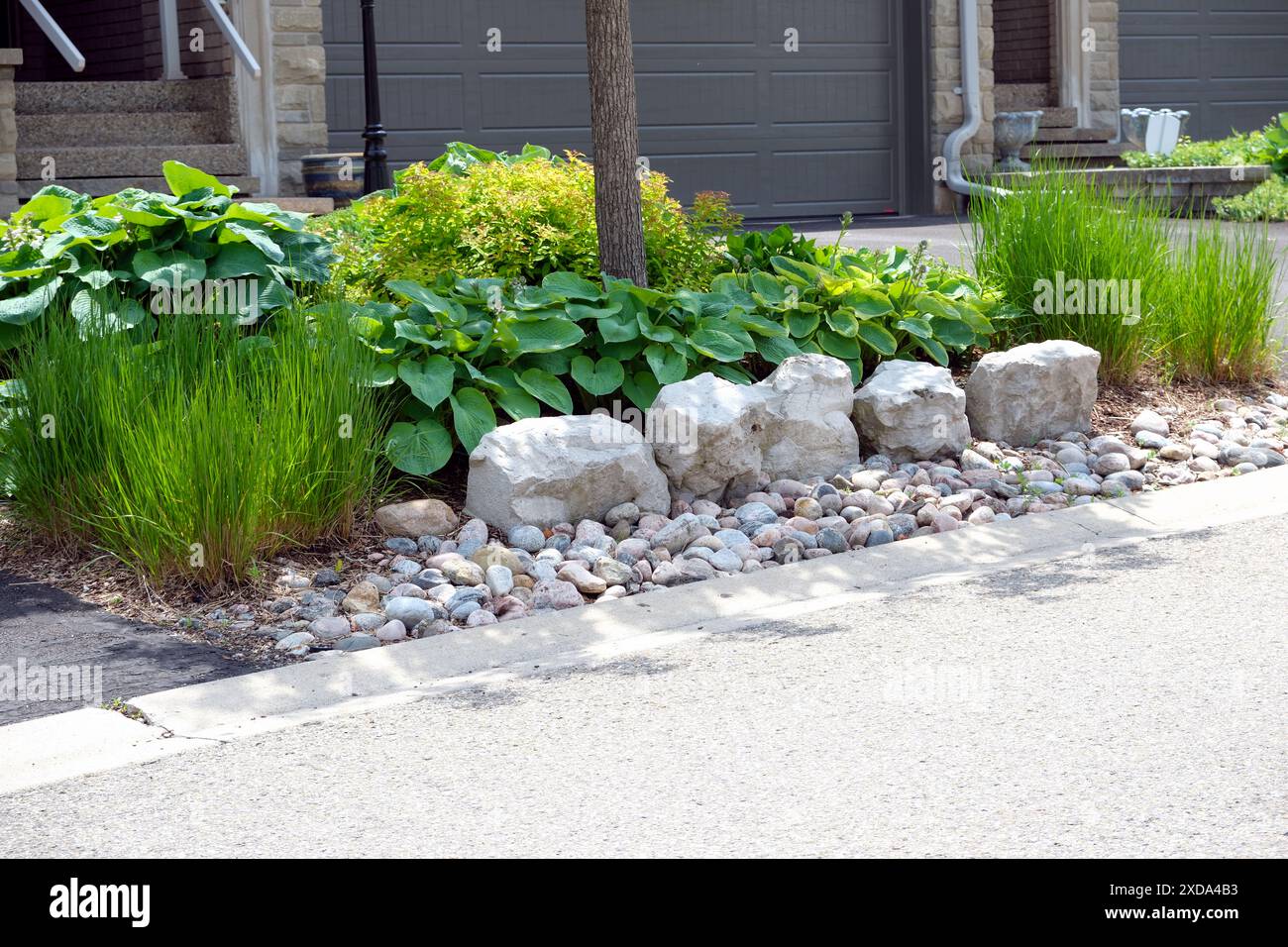 L'aménagement paysager du jardin avant à faible entretien comprend des pierres blindées décoratives et des roches de rivière, pas de pelouse et des plantes vivaces et des herbes ornementales faciles d'entretien. Banque D'Images