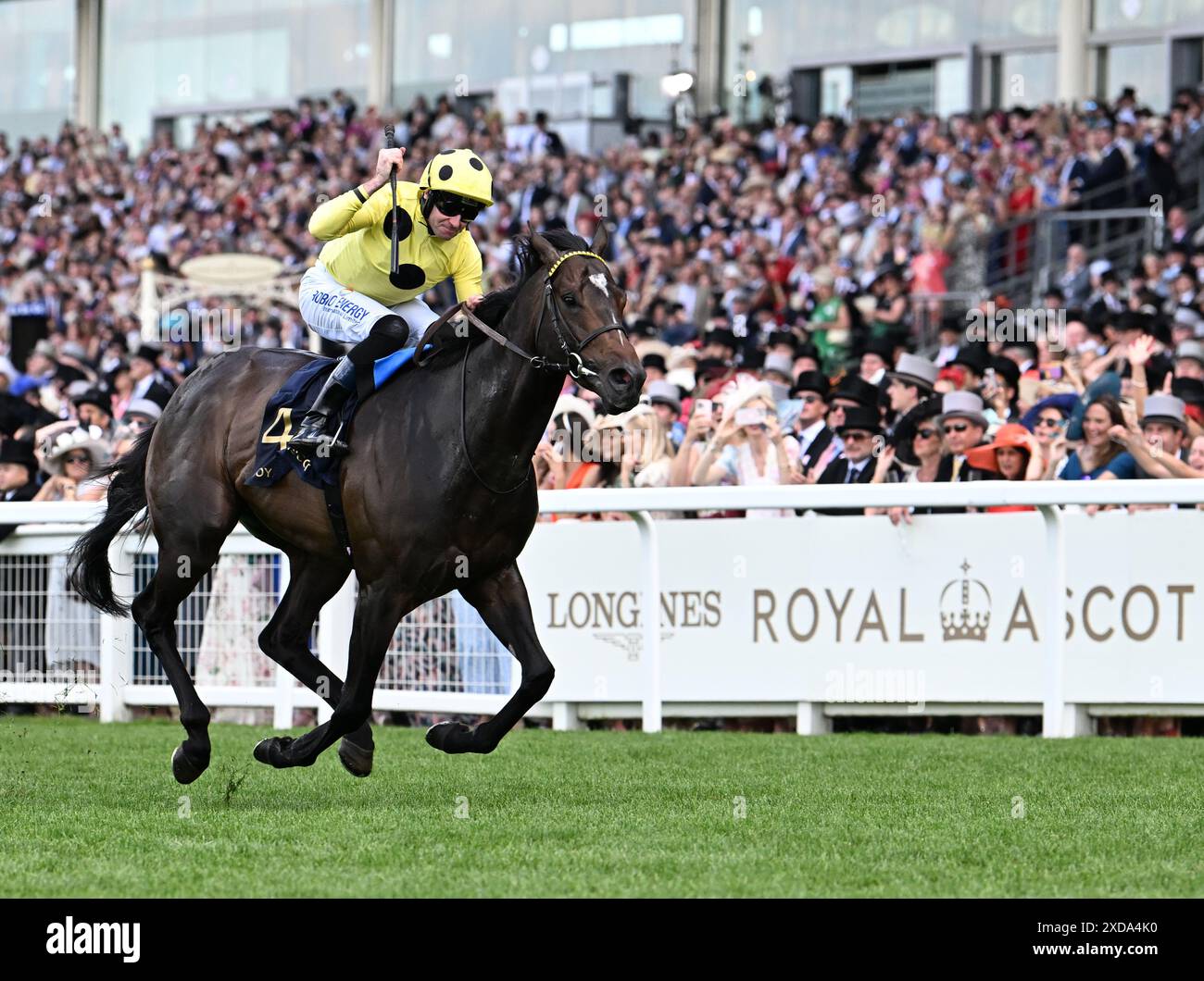 21 juin 2024 ; Ascot Racecourse, Berkshire, Angleterre : Royal Ascot Horse Racing, jour 4 ; Inisherin monté par Tom Eaves entraîné par Kevin Ryan remporte la course 2 ; la Coupe du Commonwealth comme Tom Eaves célèbre Banque D'Images 21 juin 2024 ; Ascot Racecourse, Berkshire, Angleterre : Royal Ascot Horse Racing, jour 4 ; Inisherin monté par Tom Eaves entraîné par Kevin Ryan remporte la course 2 ; la Coupe du Commonwealth comme Tom Eaves célèbre Banque D'Images