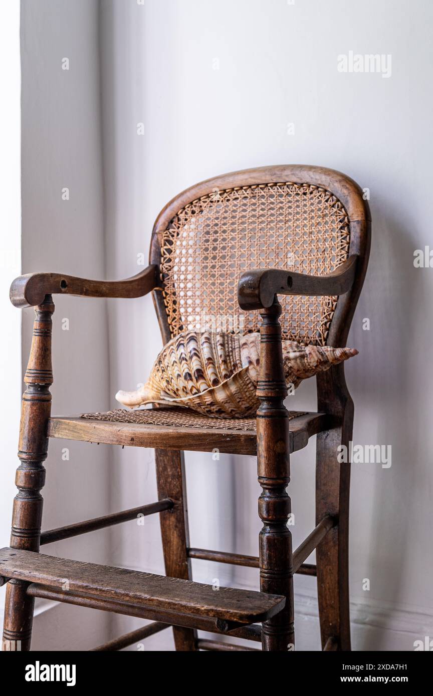 Grand coquillage sur chaise en bois antique dans la terrasse victorienne classée Grade II, Camden, Londres, Royaume-Uni Banque D'Images
