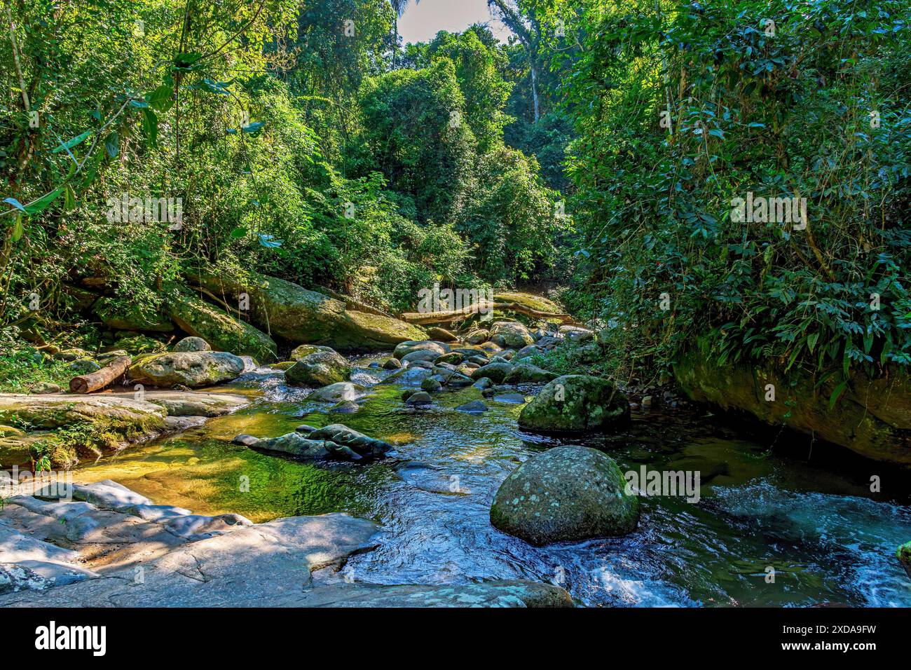 Belle rivière traversant la forêt tropicale entre les pierres et la végétation à Ilhabela, Ilhabela, Sao Paulo, Brésil Banque D'Images Belle rivière traversant la forêt tropicale entre les pierres et la végétation à Ilhabela, Ilhabela, Sao Paulo, Brésil Banque D'Images