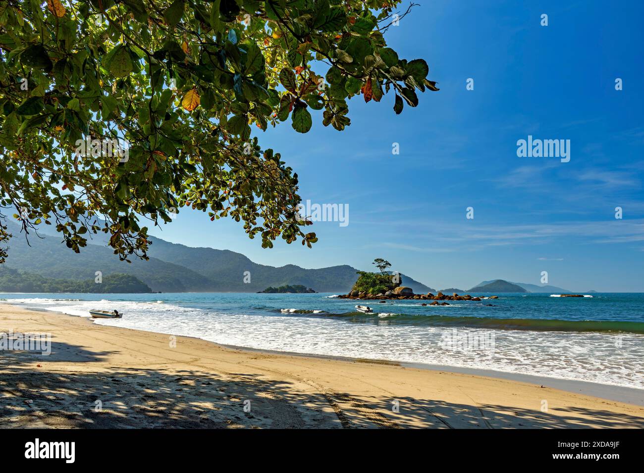Vue sur la plage préservée de Bonete sur l'île d'Ilhabela entre arbres et végétation, plage de Bonete, Ilhabela, Sao Paulo, Brésil Banque D'Images Vue sur la plage préservée de Bonete sur l'île d'Ilhabela entre arbres et végétation, plage de Bonete, Ilhabela, Sao Paulo, Brésil Banque D'Images