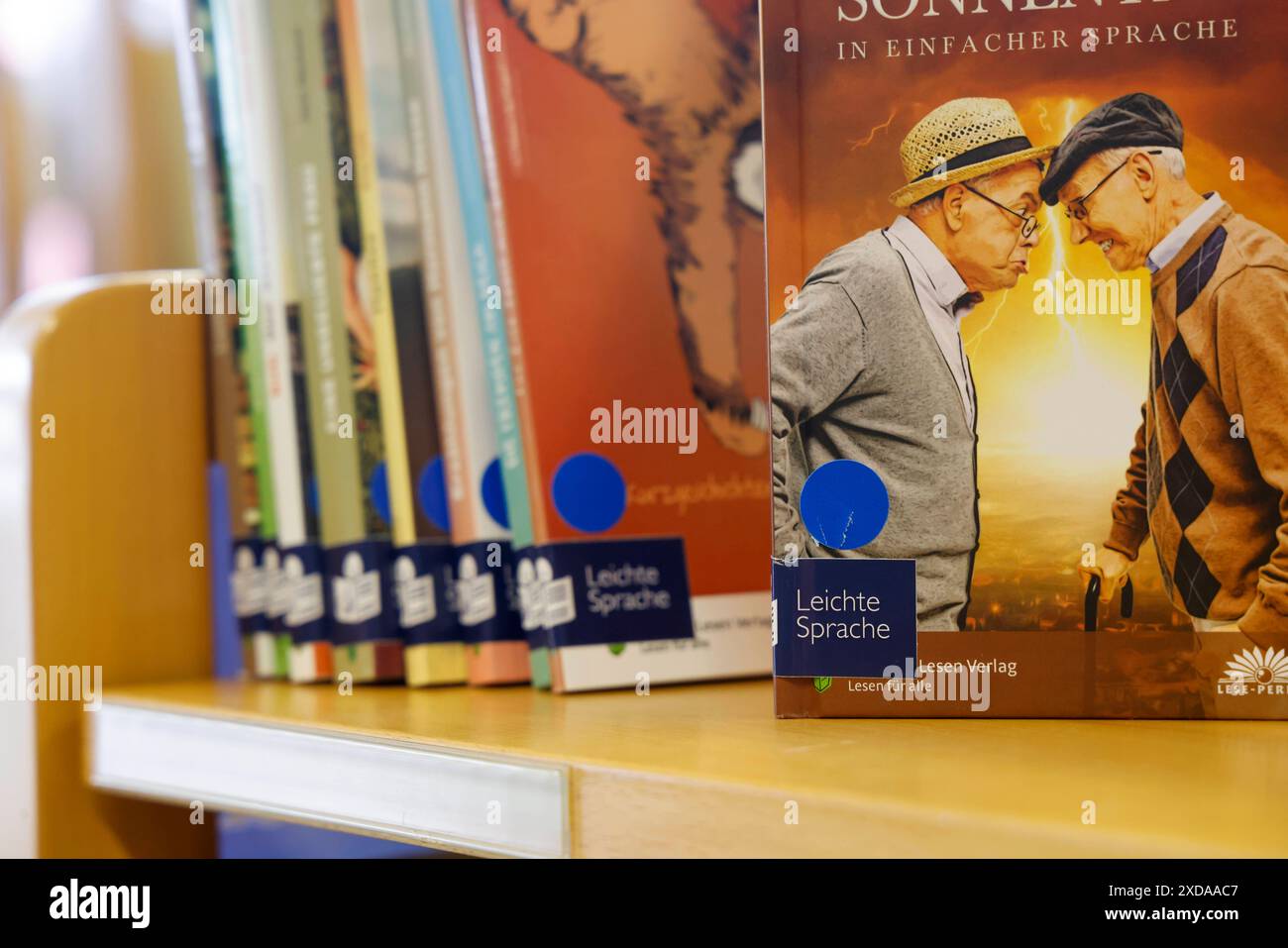 Stadtbücherei Oppenheim, Buchregal mit Büchern in leichter Sprache. Der Einband ist zur einfachen Erkennung mit einem extra Symbol zur besseren Orientierung gekennzeichnet 21.06.24 *** Oppenheim bibliothèque publique, bibliothèque avec livres en langage facile la couverture est marquée avec un symbole supplémentaire pour une reconnaissance facile et une meilleure orientation 21 06 24 Banque D'Images