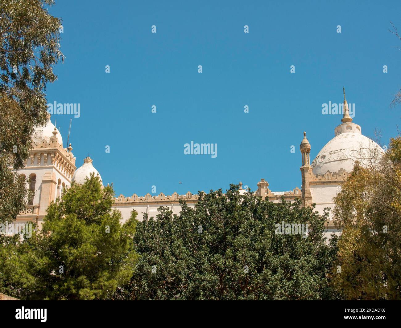 Structure architecturale blanche avec dômes et tours, entourée d'arbres, ciel bleu, Tunis, Tunisie Banque D'Images