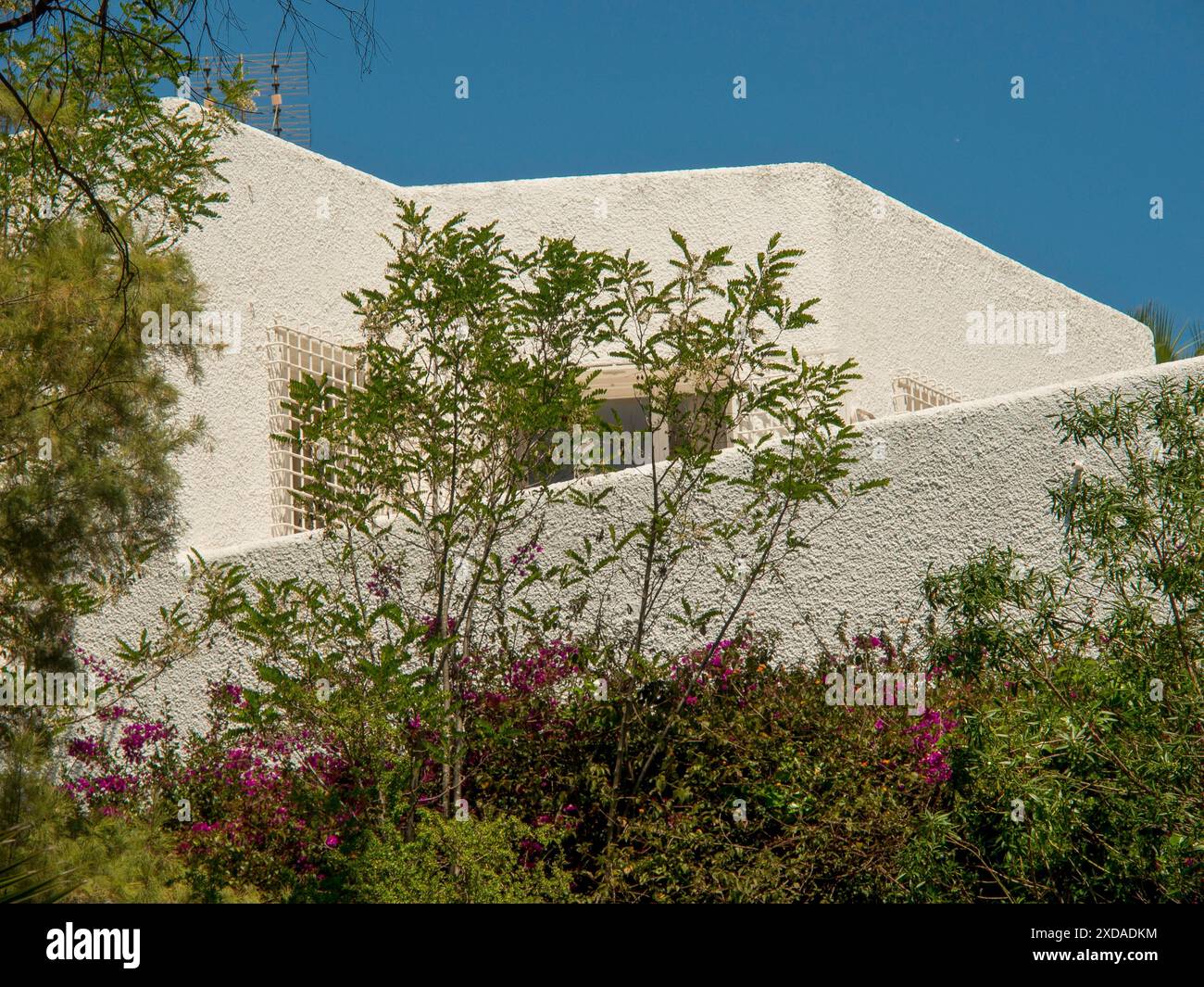 Bâtiment blanc dans un style minimaliste, entouré d'arbustes verts et d'arbres, Tunis, Tunisie Banque D'Images