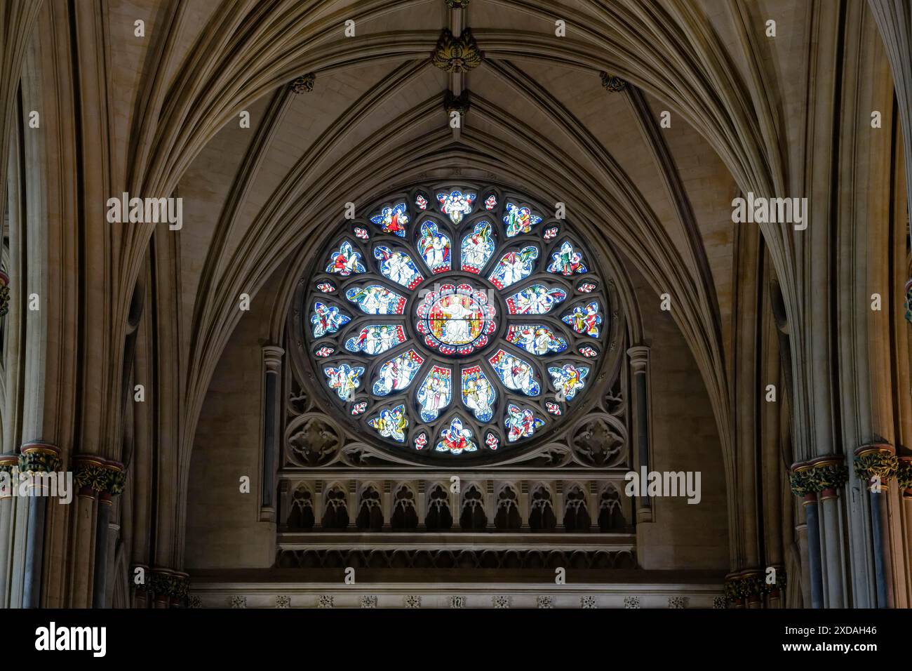 Vue intérieure, fenêtre, Cathédrale de Bristol, Bristol, Angleterre, grande-Bretagne Banque D'Images