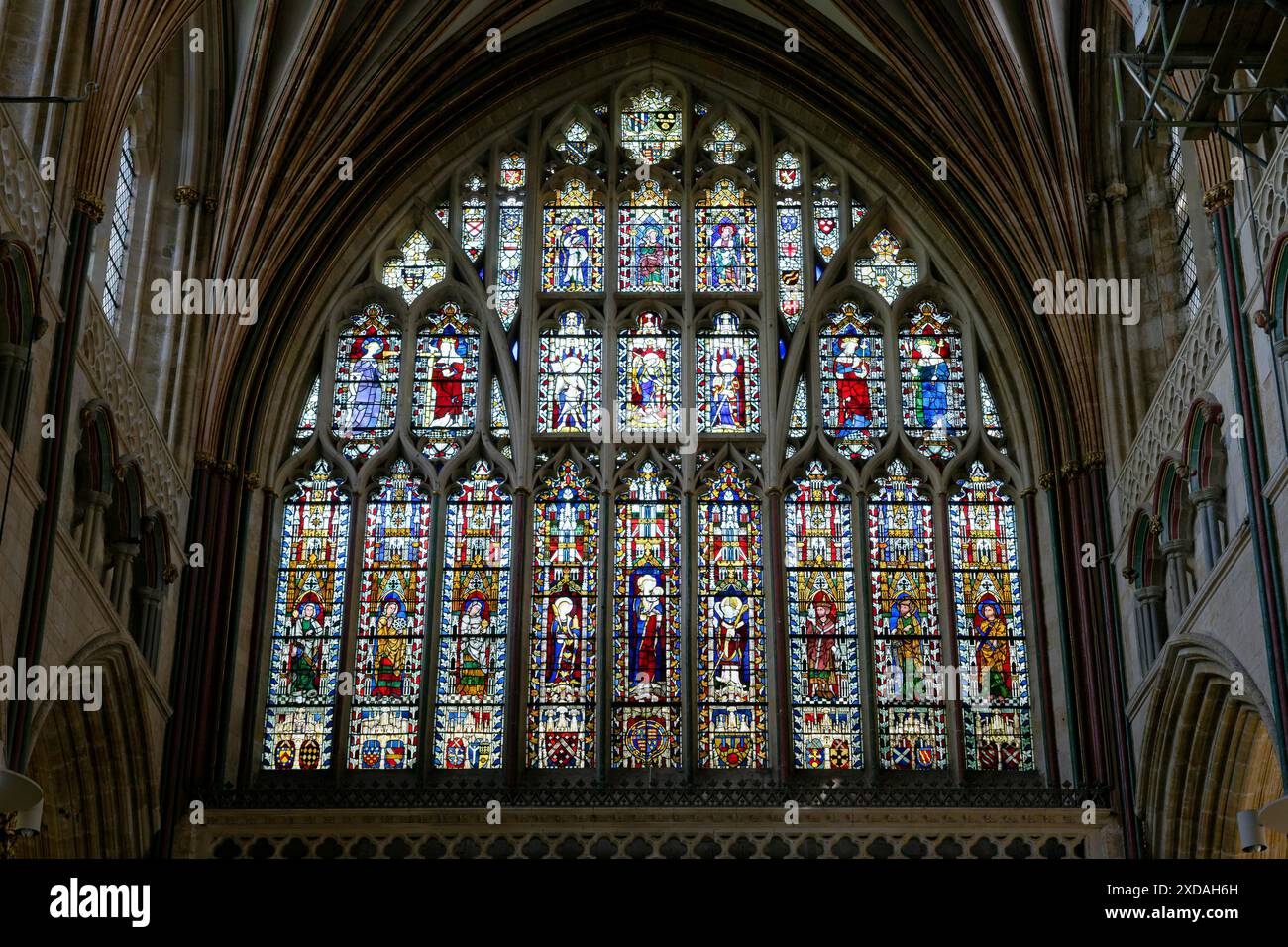 Vue intérieure, fenêtre, cathédrale d'Exeter, Exeter, Angleterre, grande-Bretagne Banque D'Images