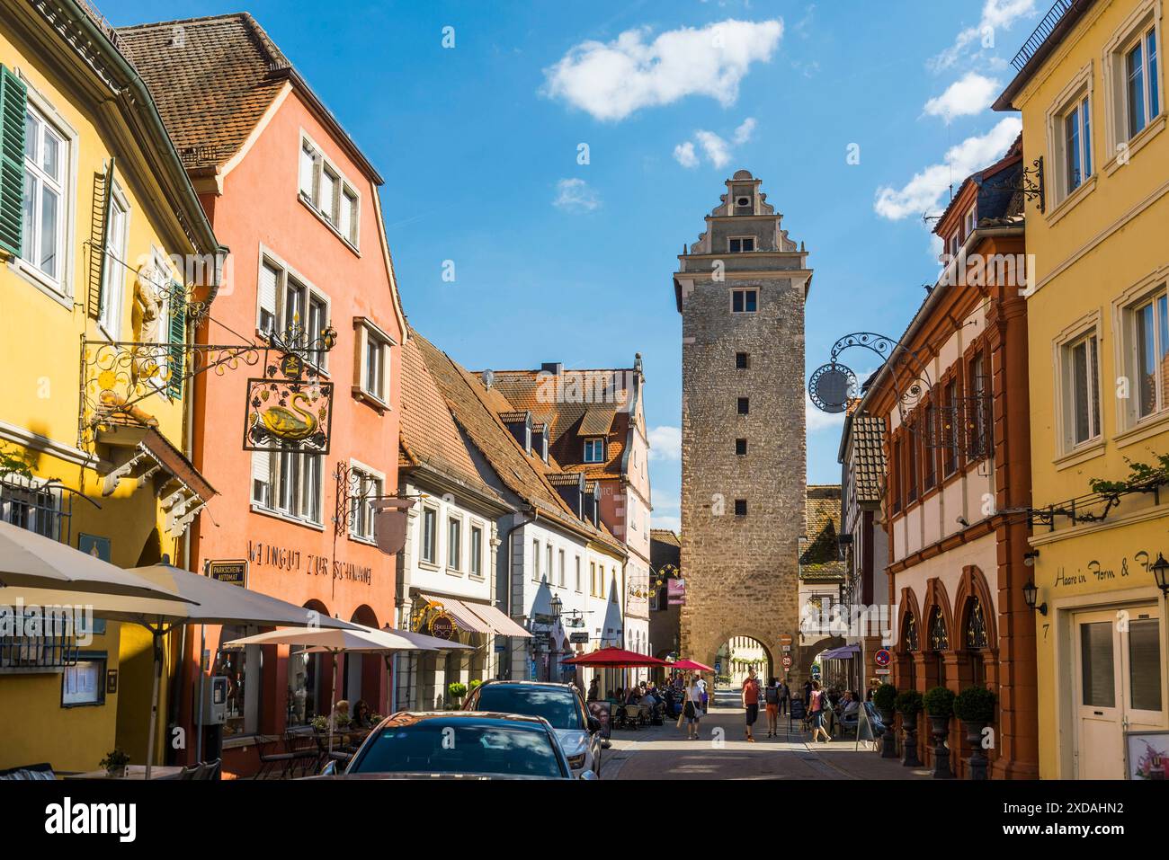 Village viticole médiéval, Volkach, Mainfranken, basse-Franconie, Franconie, Bavière, Allemagne Banque D'Images