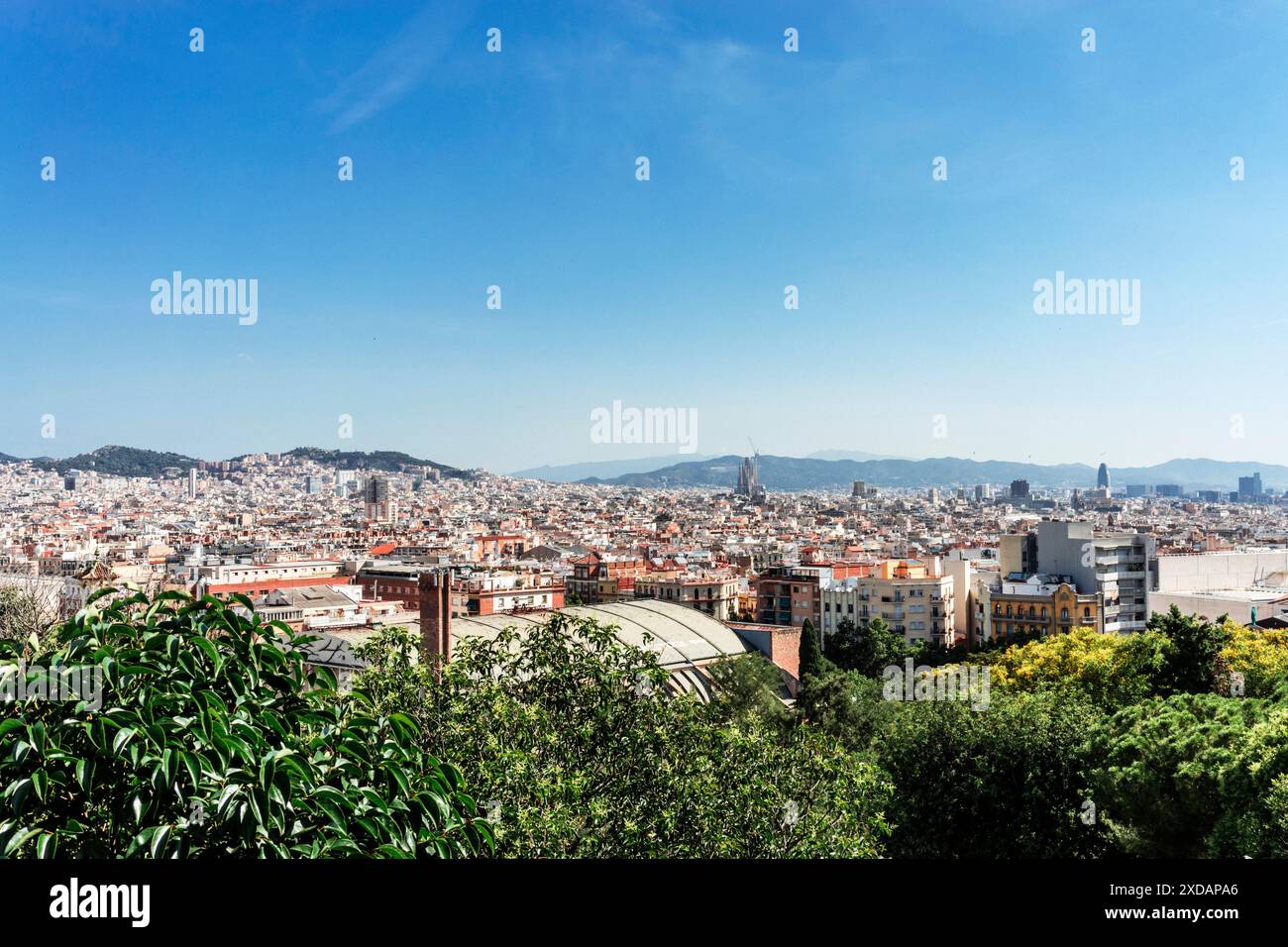 Paysage urbain de Barcelone vu de Montjuic Banque D'Images