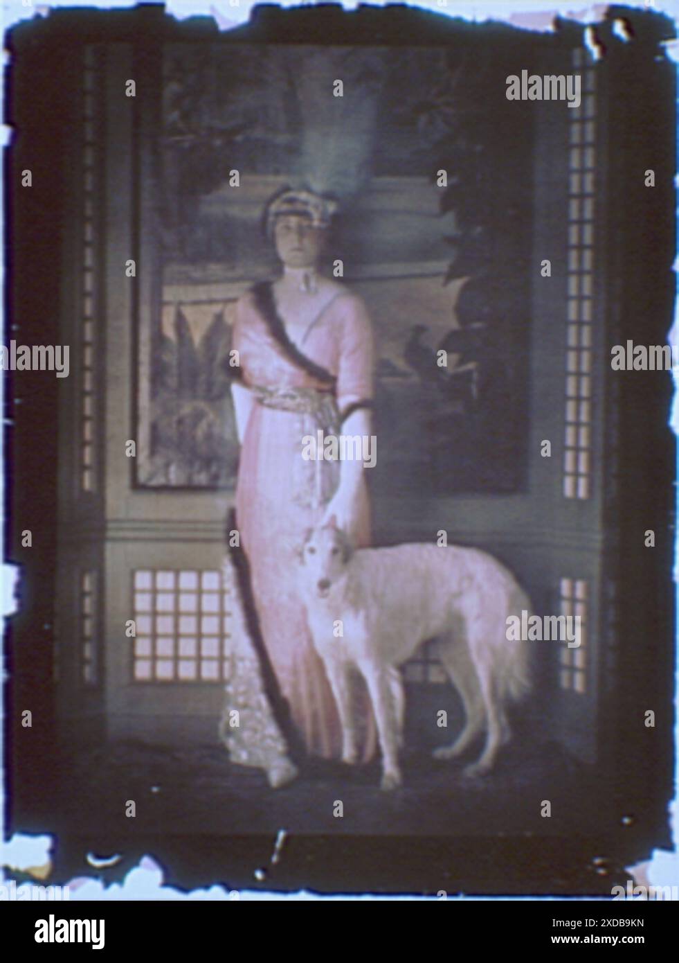 Femme portant une longue robe rose avec bordure de fourrure debout avec un chien devant un tableau. Collection de photographies Genthe. Banque D'Images