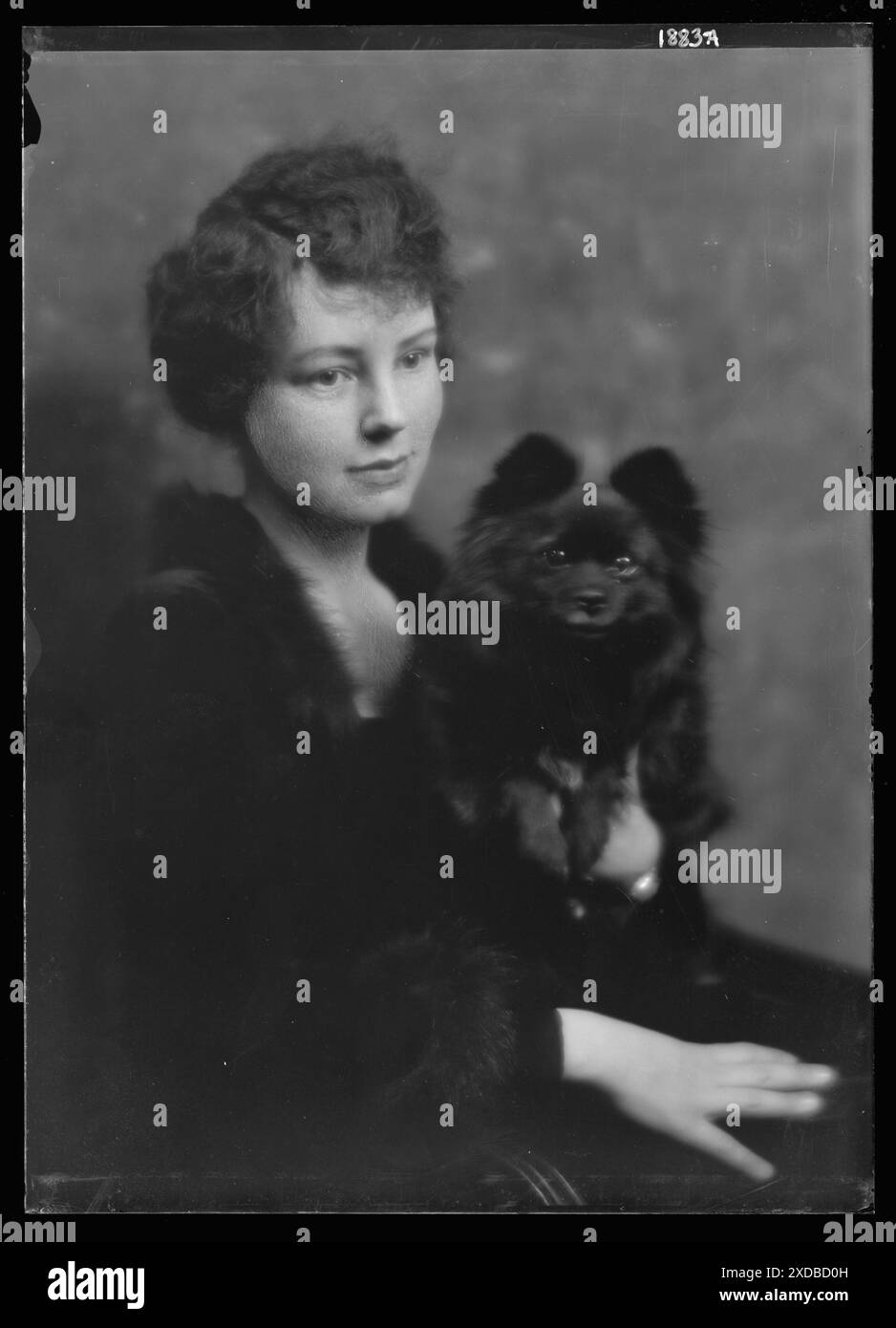 Hartshorne, Miss, avec chien, photo de portrait. Collection de photographies Genthe. Banque D'Images