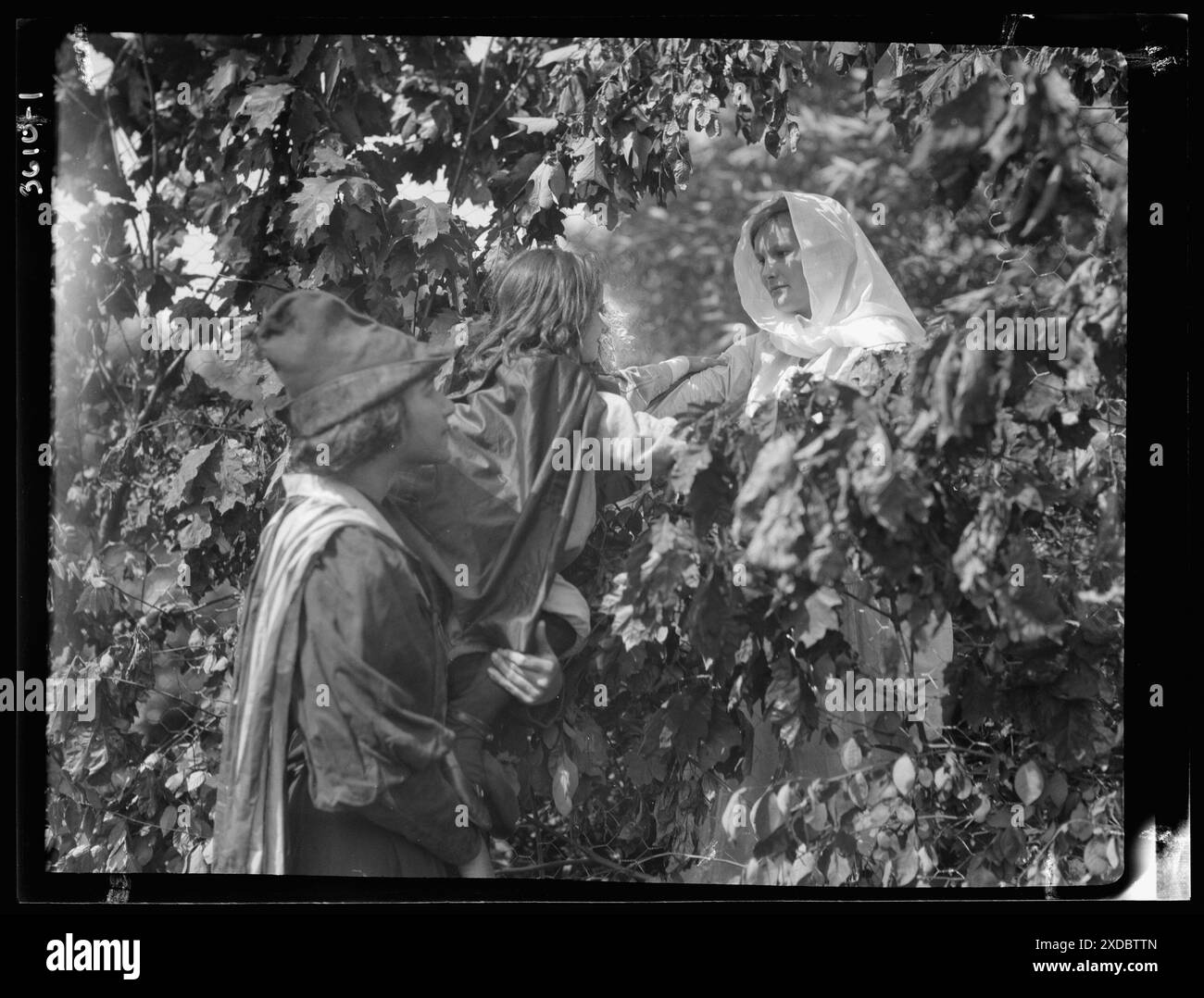 Représentation théâtrale au Dongan Hall. Collection de photographies Genthe. Banque D'Images