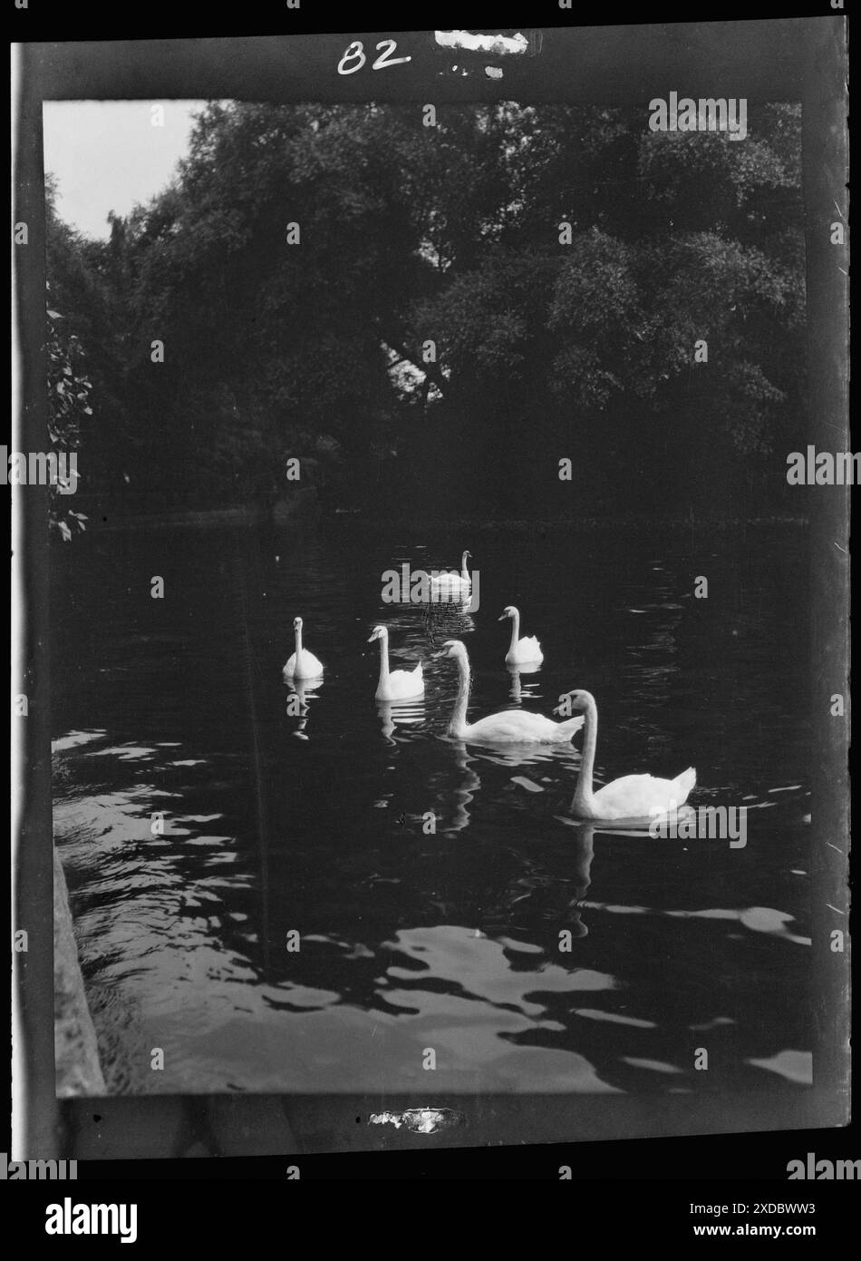 Vues de voyage de l'Europe. Collection de photographies Genthe. Banque D'Images