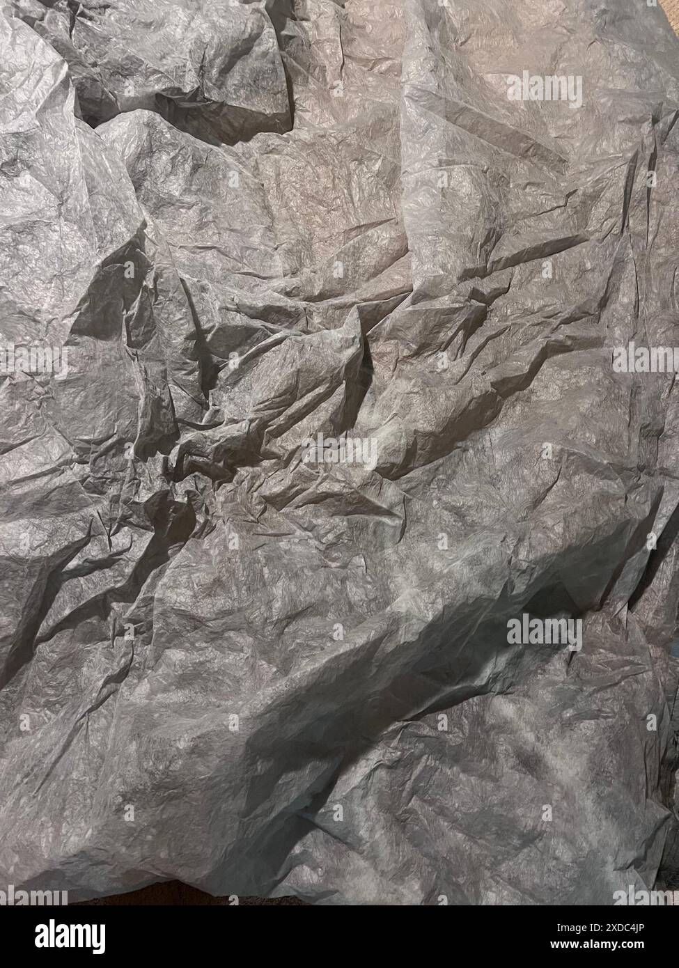 Une photographie rapprochée de papier de soie gris froissé avec une surface texturée. Le papier est plié et froissé, créant un motif naturel et organique. Banque D'Images