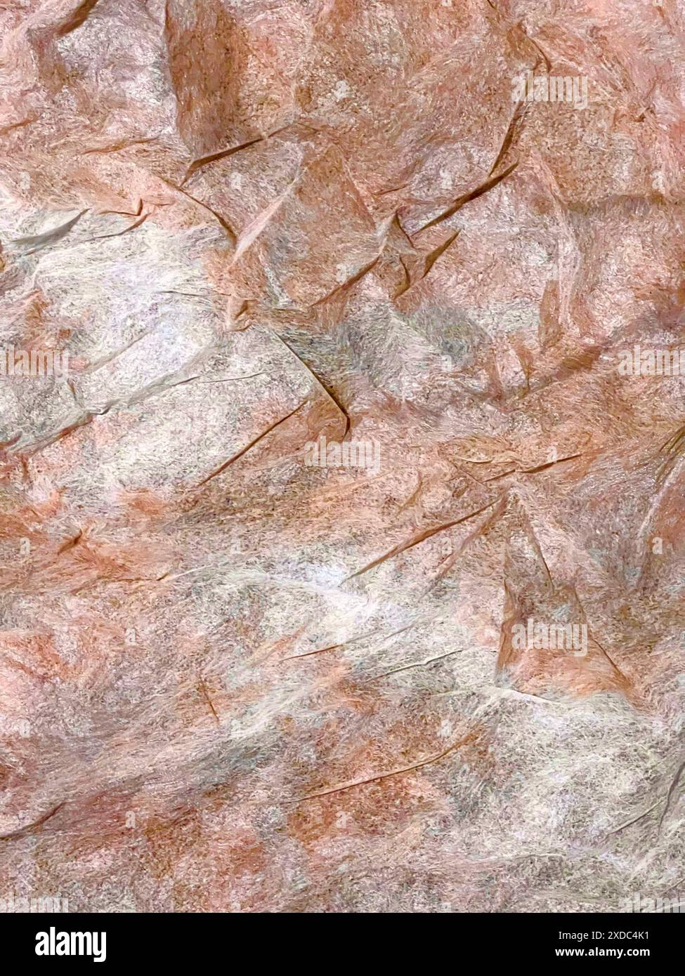 Cette image montre un gros plan de papier brun froissé et blanc. Le papier a été plié et froissé, créant une surface unique et texturée. Le Banque D'Images