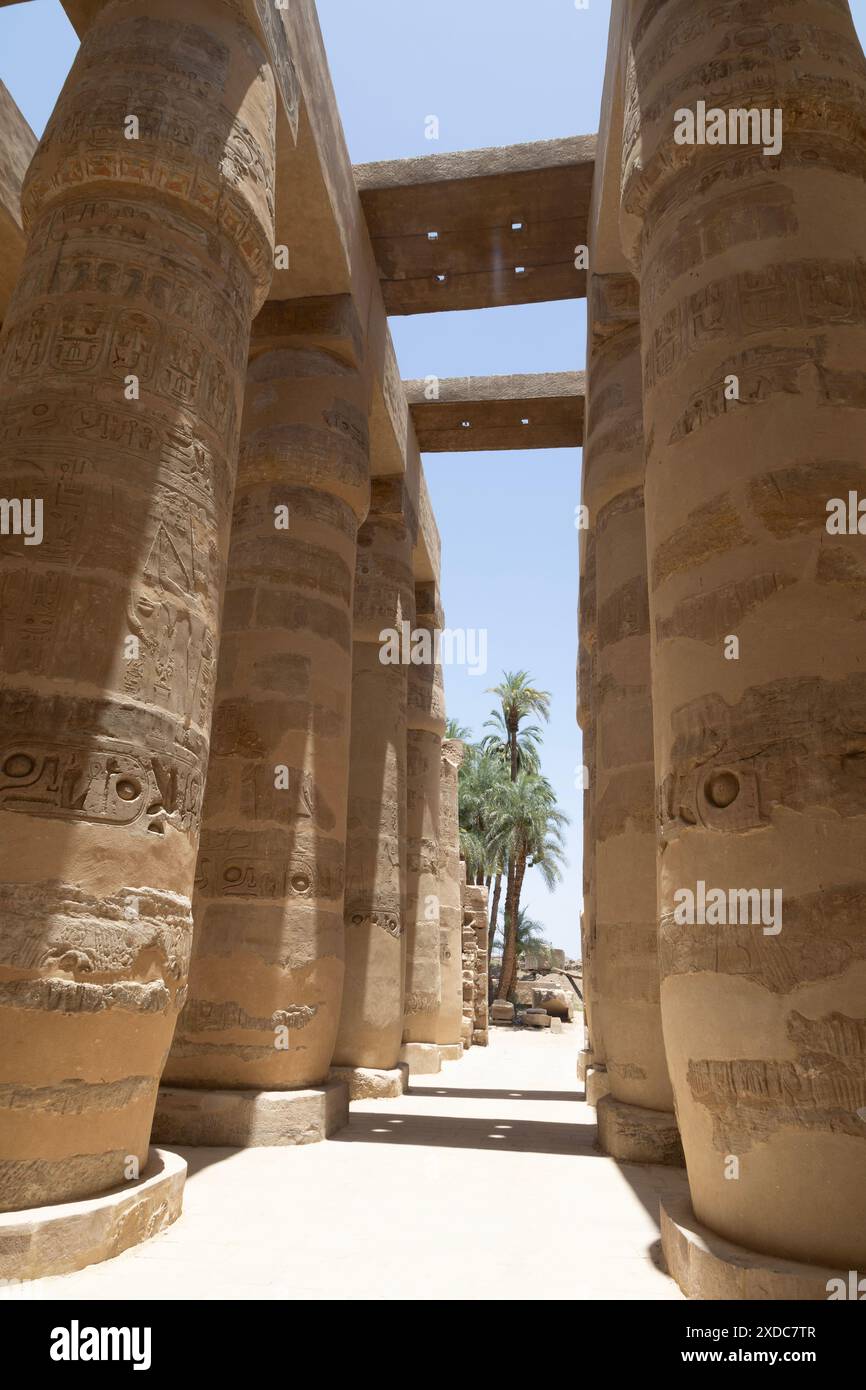 Gravures en relief creuses audacieuses sur les grandes colonnes en forme de papyrus à bourgeons fermés dans la salle hypostyle du complexe Amun-Ra dans le temple de Karnak, Louxor, Égypte. Banque D'Images