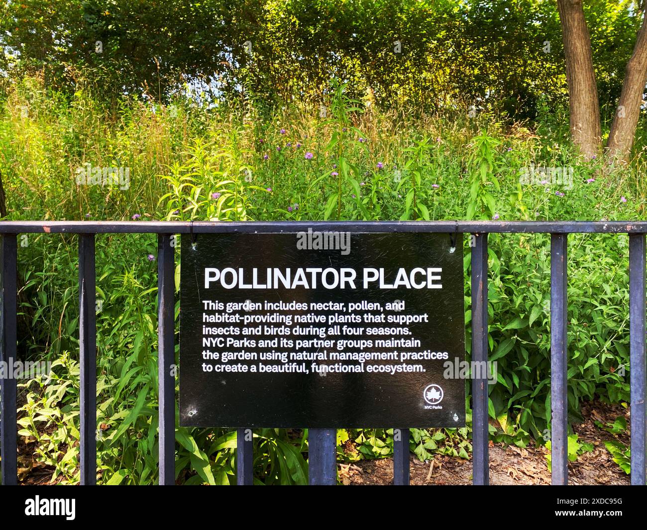 Un panneau « Pollinator place » dans un parc de New York City, un jardin fournissant nectar, pollen et plantes indigènes soutenant les insectes pollinisateurs et les oiseaux. Banque D'Images