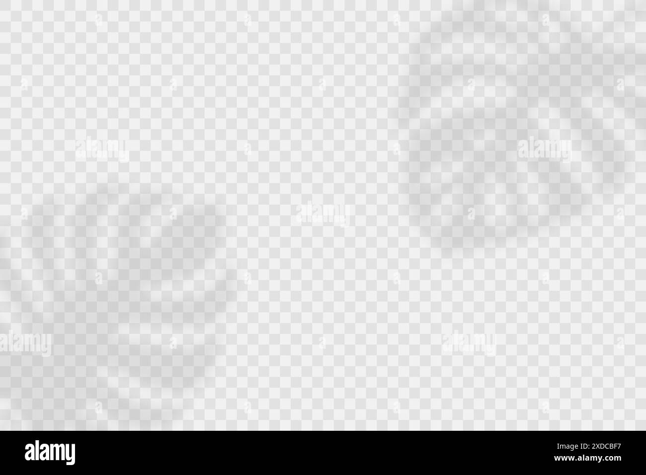 Effets d'ombre transparents vectoriels. Feuilles tropicales, Mpnstera feuilles ombre Overlay fond horizontal. Superpositions d'ombres sur fond transparent Illustration de Vecteur