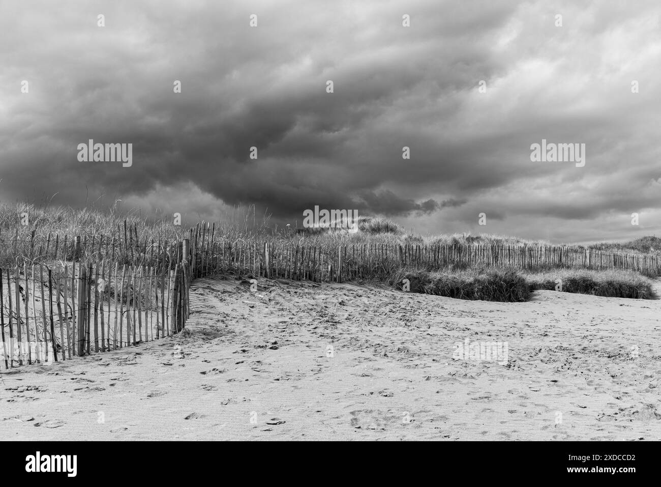plage de sable wesrt à st andrews , écosse Banque D'Images