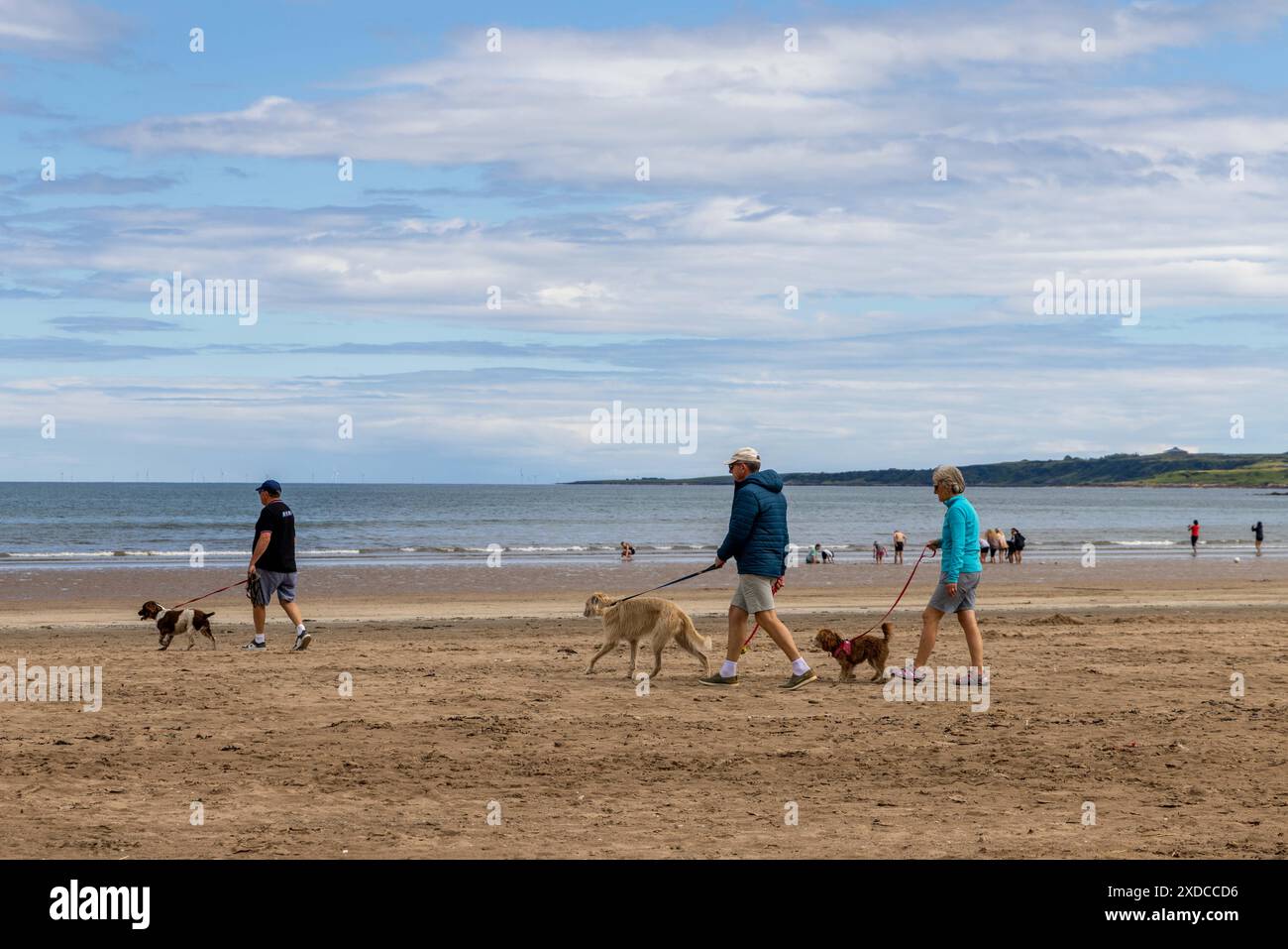 les gens marchant sur la plage pendant une journée ensoleillée Banque D'Images