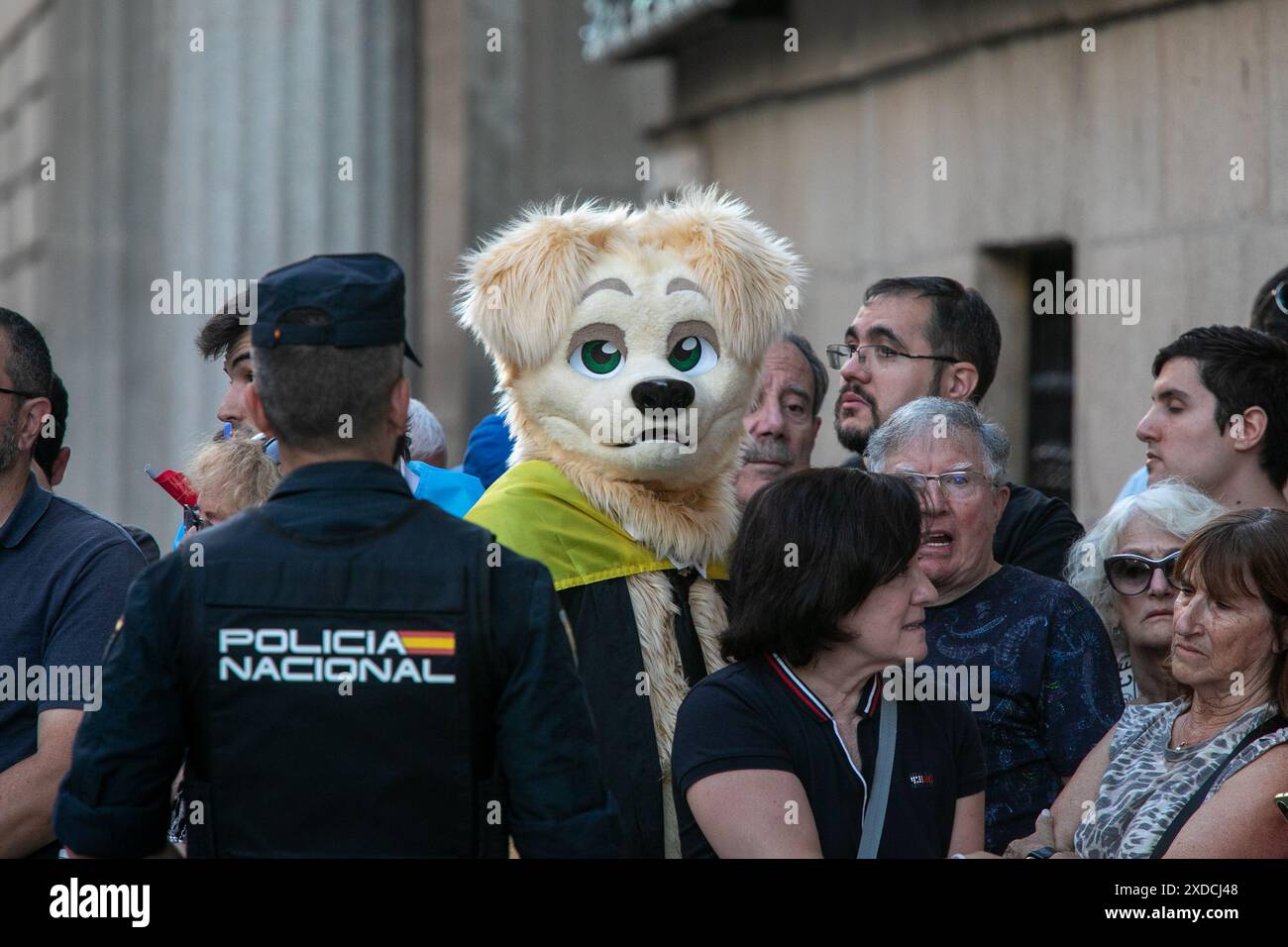 Madrid, Espagne. 21 juin 2024. Des partisans du président argentin, Javier Milei, l’attendent devant le Casino de Madrid où il a reçu un prix cet après-midi. Crédit : D. Canales Carvajal/Alamy Live News Banque D'Images