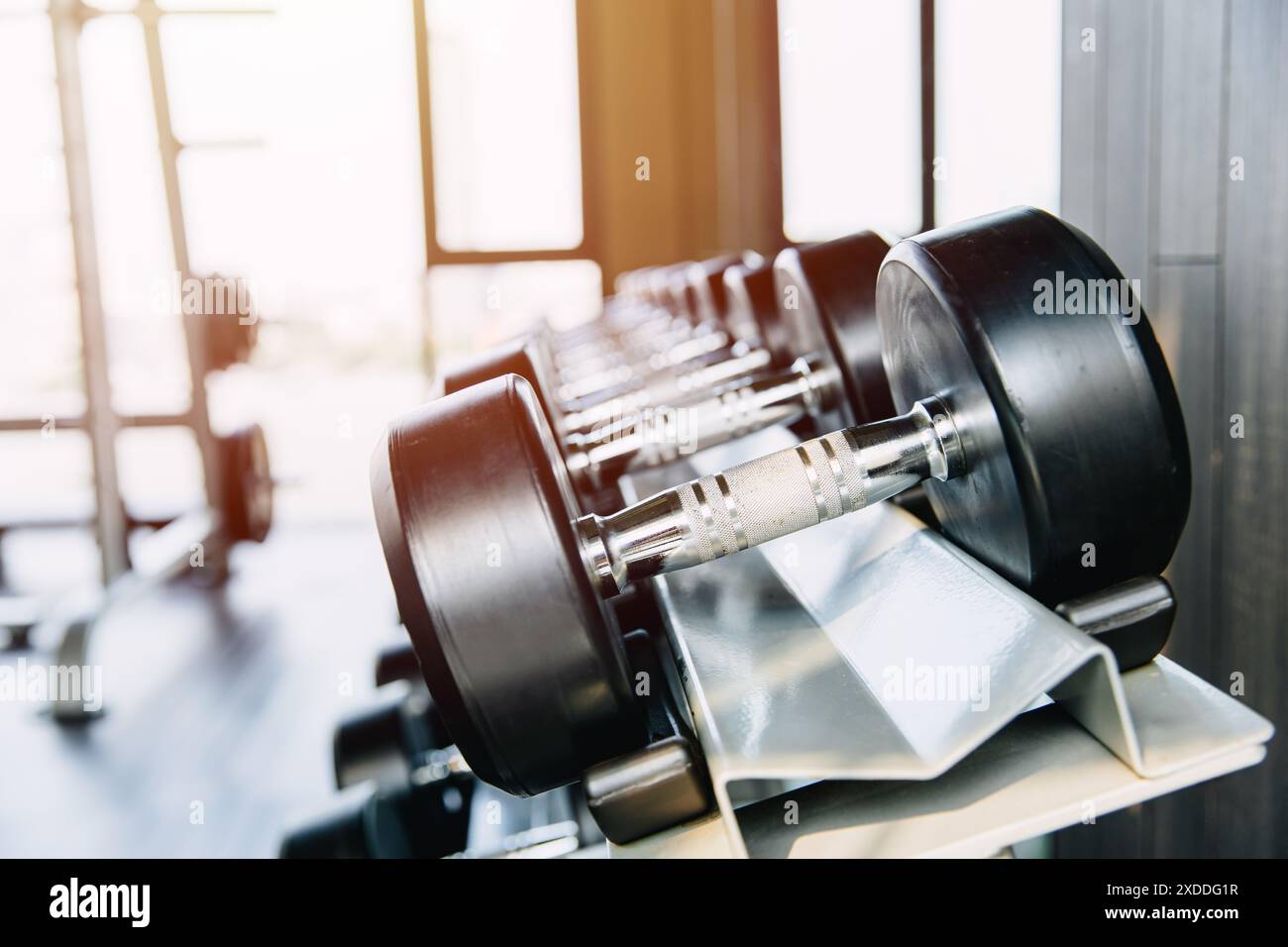 Rangée d'haltères dans le support de support de gymnastique, concept d'équipement de sport, préparation pour les produits publicitaires de fitness Bodybuilding Workout. Banque D'Images
