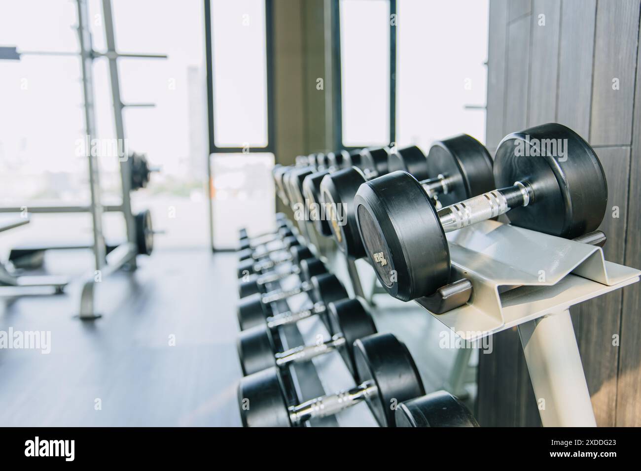 Rangée d'haltères dans le support de support de gymnastique, concept d'équipement de sport, préparation pour les produits publicitaires de fitness Bodybuilding Workout. Banque D'Images