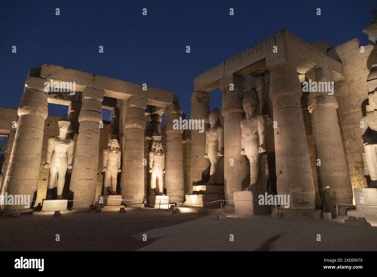 Illuminé la nuit le coin sud de la cour de Ramsès II dans le temple de Louxor présente un certain nombre de colosses de Ramsès debout entre les colonnes de papyrus. Banque D'Images