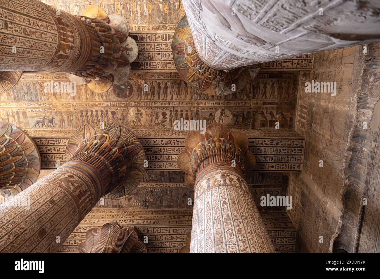 Des travaux de restauration récents dans le temple Khnum, Esna, en Égypte, soulignent le caractère unique de chacune des 24 colonnes et des détails du plafond. Banque D'Images