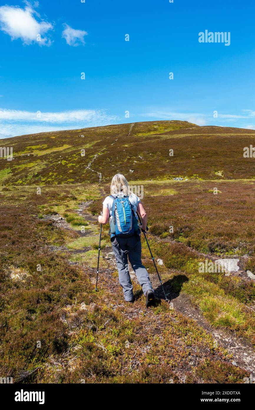 Un marcheur sur le chemin jusqu'à la montagne Corbett de Morven près de Logie Coldstone, Aberdeenshire, Écosse Banque D'Images