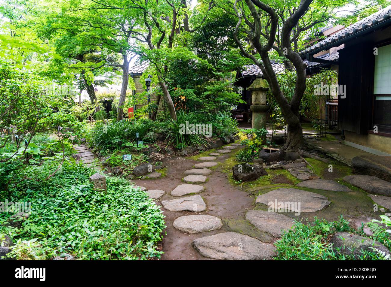 Le jardin de Hayashi Fumiko Memorial Hall, la maison où l'écrivain japonais a vécu à Nakai, quartier Shinjuku, Tokyo, Japon Banque D'Images