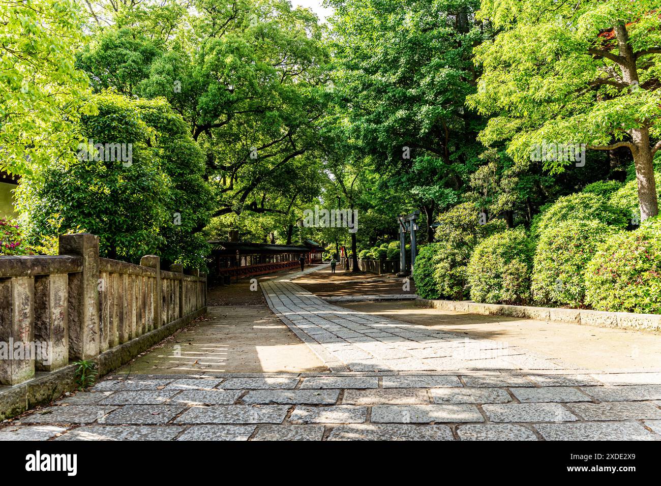Sentier bordé d'arbres à Nezu Jinja, un sanctuaire shinto établi à l'époque Tokugawa et situé dans le quartier Bunkyō de Tokyo, au Japon Banque D'Images