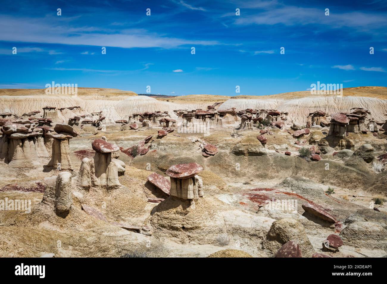 Hoodoos typiques dans la nature sauvage Ah shi sle pah Banque D'Images