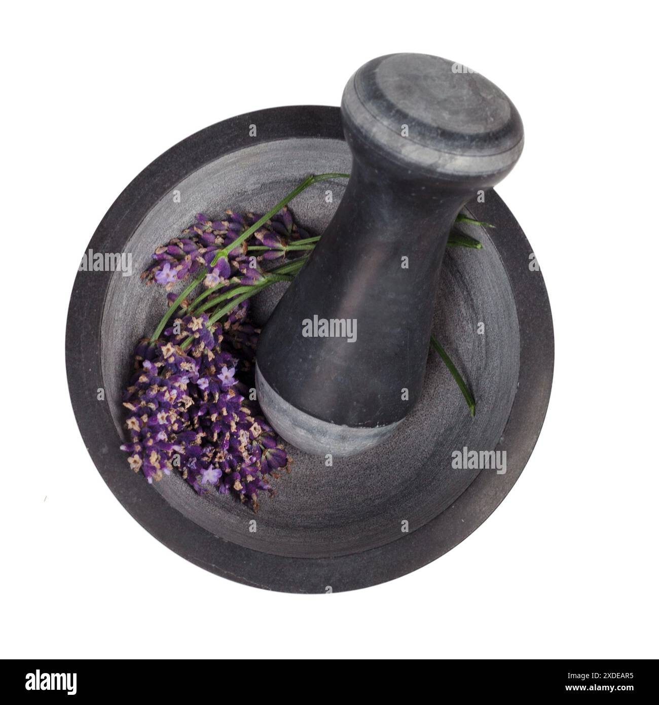 Fleurs de lavande en mortier de pierre Banque D'Images
