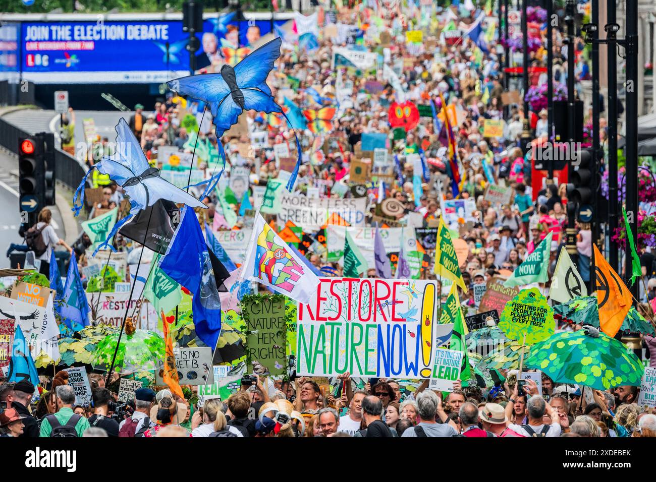 Londres, Royaume-Uni. 22 juin 2024. Entrer à Piccadilly avec un panneau d'affichage Join the Election Debate en arrière-plan - la marche est lancée par Chris Packham et Emma Thompson, parmi beaucoup d'autres - extinction Rebellion Restore nature Now Demonstration - a Legal, marche et rassemblement publics pacifiques et inclusifs organisés par XR et d'autres groupes environnementaux qui sont unis pour appeler tous les partis politiques à faire de cette élection générale le tournant pour la nature. Crédit : Guy Bell/Alamy Live News Banque D'Images