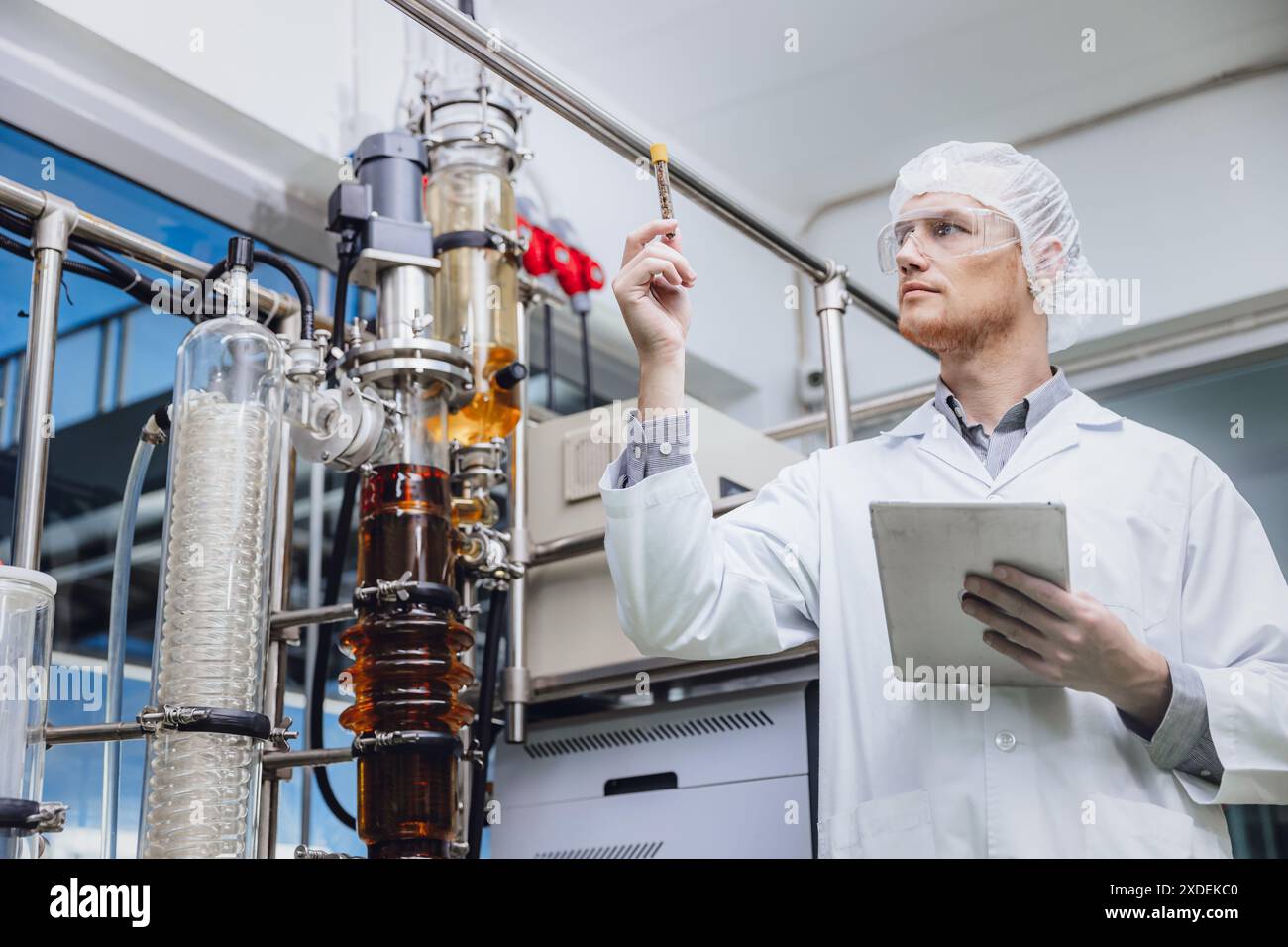 Scientifique travaillant avec des équipements dans Science Lab. Personnel d'usine médicale extraction d'huile de cannabis CBD. Usine de distillation de film mince d'huile de chanvre processus. Banque D'Images
