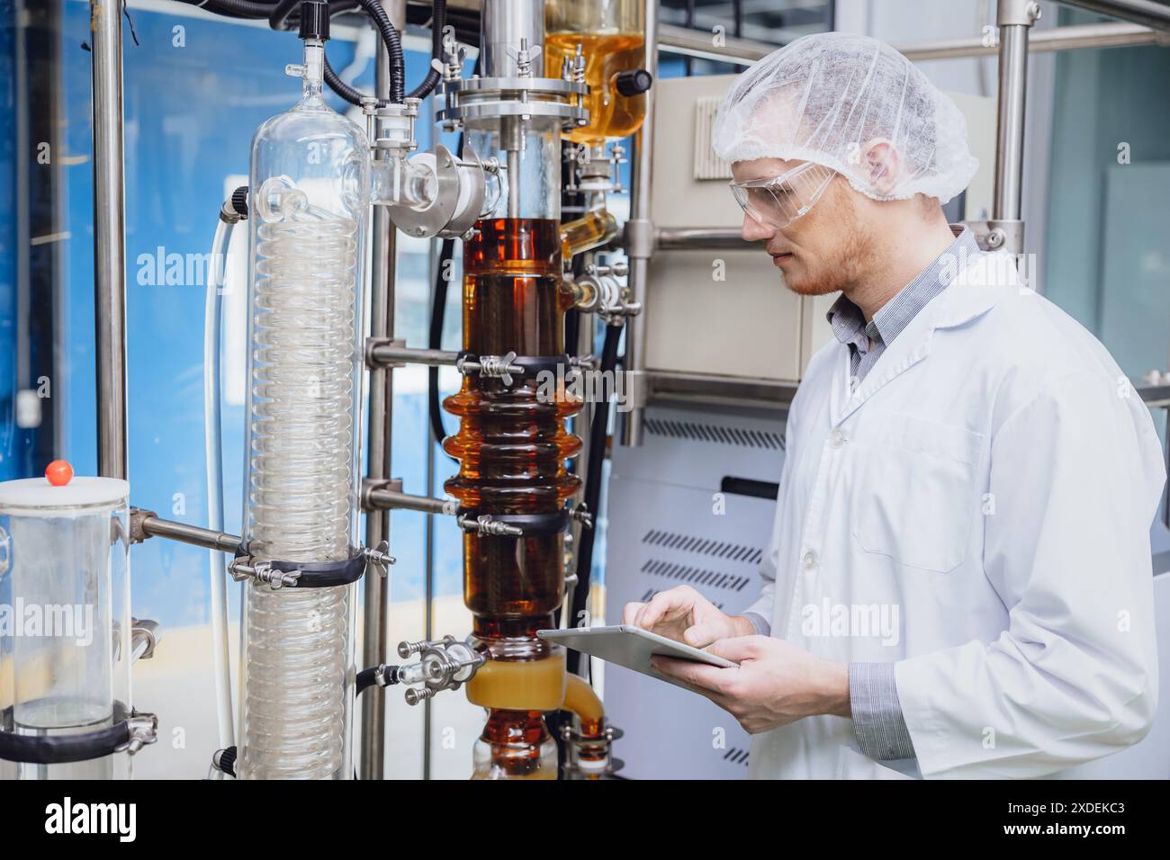 Scientifique travaillant avec des équipements dans Science Lab. Personnel d'usine médicale extraction d'huile de cannabis CBD. Usine de distillation de film mince d'huile de chanvre processus. Banque D'Images