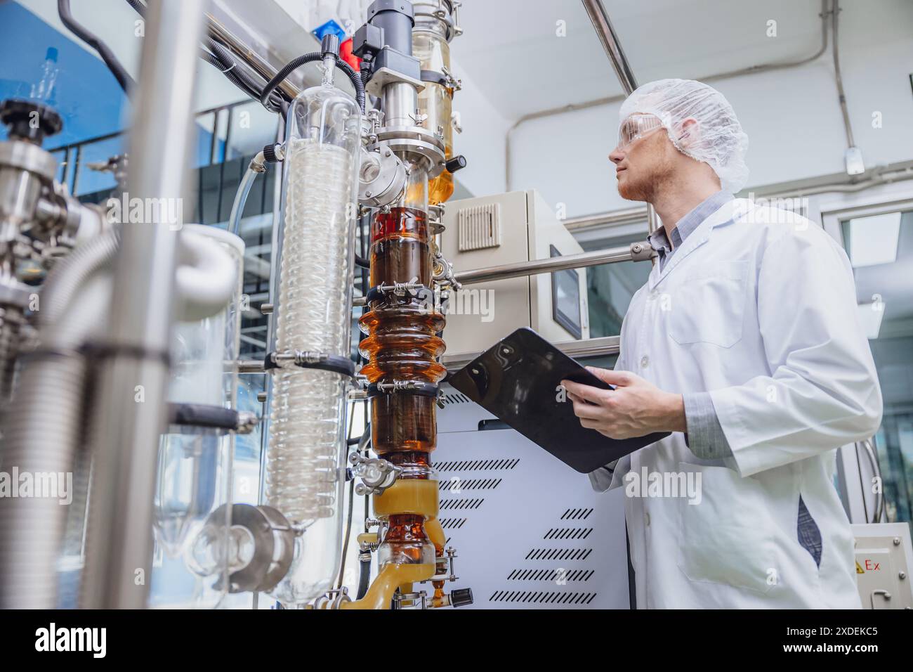 Scientifique travaillant avec des équipements dans Science Lab. Personnel d'usine médicale extraction d'huile de cannabis CBD. Usine de distillation de film mince d'huile de chanvre processus. Banque D'Images