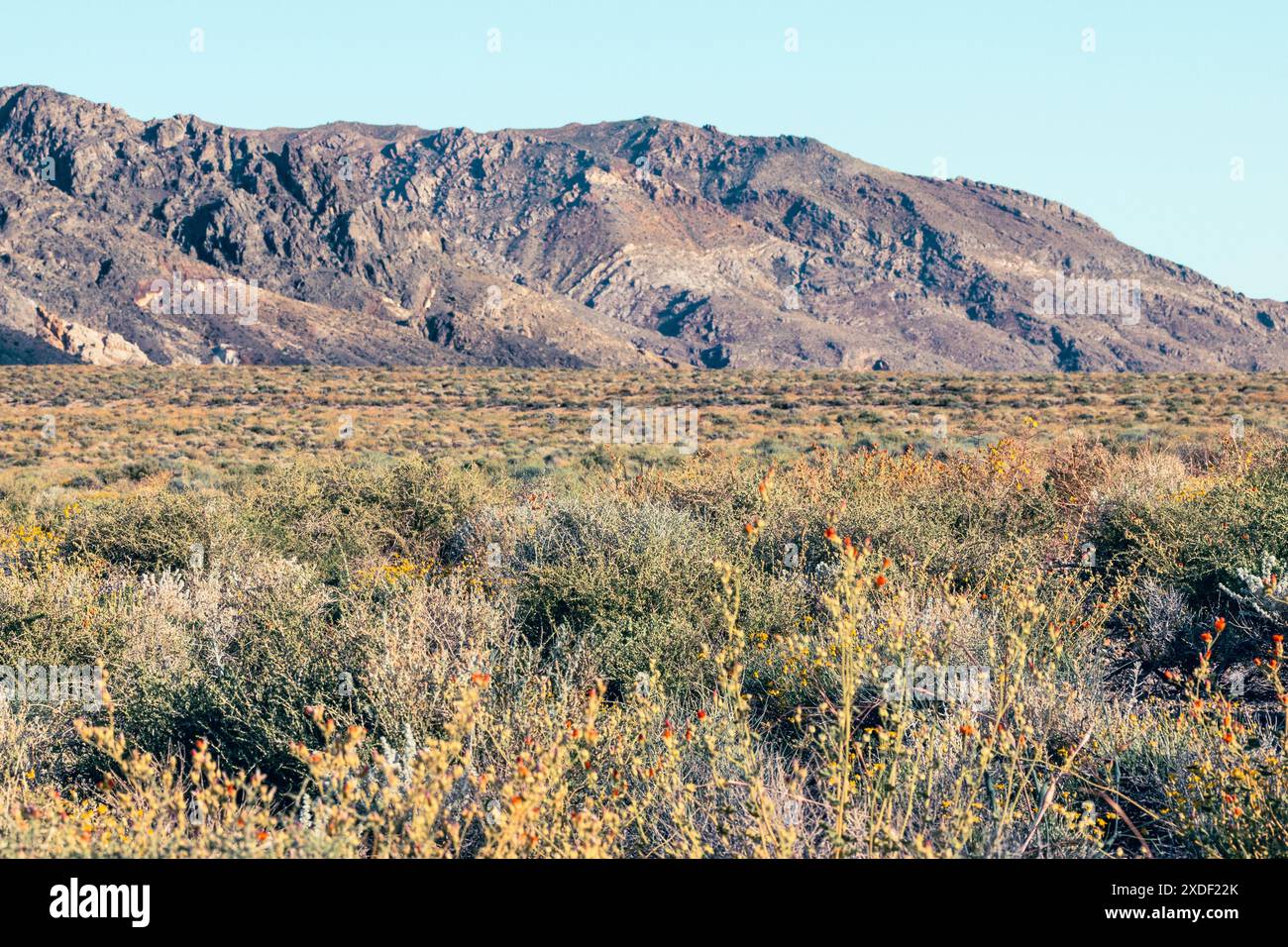 Mojave Desert Mountains Death Valley Banque D'Images