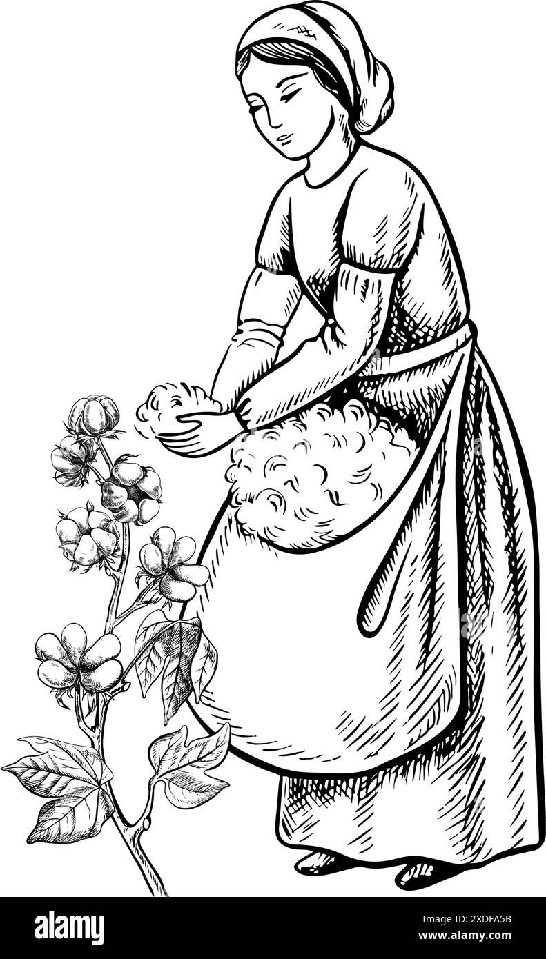 Un cueilleur de coton à la main. Noir et blanc, détaillé, graphique, illustration vectorielle. Une belle femme cueillant le coton de ses propres mains. Isoler, main-d Illustration de Vecteur Un cueilleur de coton à la main. Noir et blanc, détaillé, graphique, illustration vectorielle. Une belle femme cueillant le coton de ses propres mains. Isoler, main-d Illustration de Vecteur