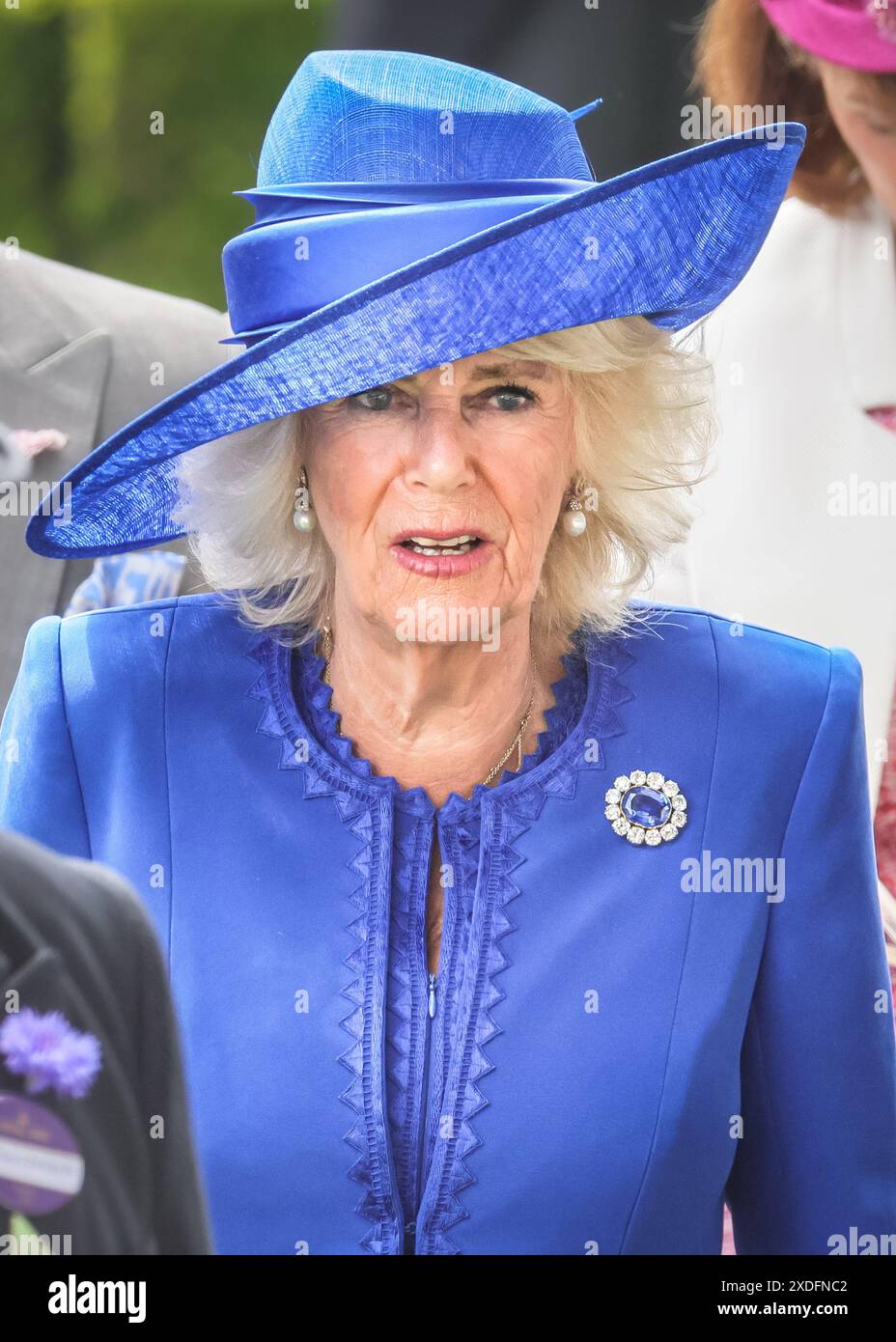 Reine Camilla, dans une robe bleu cobalde par Fiona Clare et Philip Tracey chapeau, Royal Ascot le jour 1, Angleterre, Royaume-Uni Banque D'Images