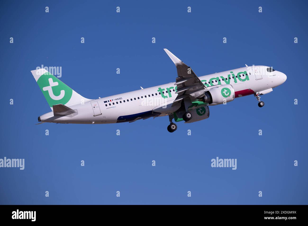 20240621 Palma de Majorque PALMA, ESPAGNE - 21 JUIN 2024 : F-HXSC TRANSAVIA FRANCE AIRBUS A320NEO at - Palma de Majorque le 21 juin 2024 à Palma, . Palma Baleares Espagne *** 20240621 Palma de Majorque PALMA, ESPAGNE 21 JUIN 2024 F HXSC TRANSAVIA FRANCE AIRBUS A320NEO à Palma de Majorque le 21 juin 2024 à Palma, Palma Baleares Espagne Banque D'Images