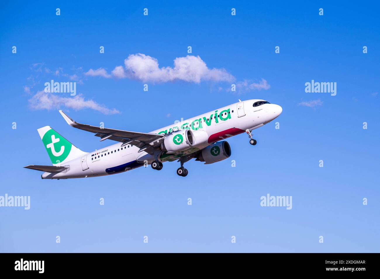 20240621 Palma de Majorque PALMA, ESPAGNE - 21 JUIN 2024 : F-HXSC TRANSAVIA FRANCE AIRBUS A320NEO at - Palma de Majorque le 21 juin 2024 à Palma, . Palma Baleares Espagne *** 20240621 Palma de Majorque PALMA, ESPAGNE 21 JUIN 2024 F HXSC TRANSAVIA FRANCE AIRBUS A320NEO à Palma de Majorque le 21 juin 2024 à Palma, Palma Baleares Espagne Banque D'Images